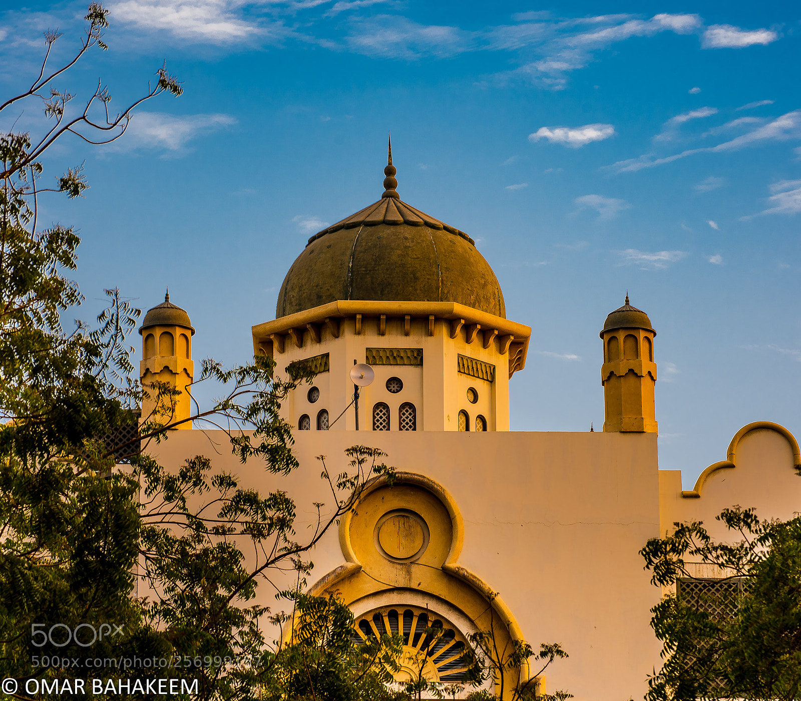 Nikon D750 sample photo. Al-falah school photography