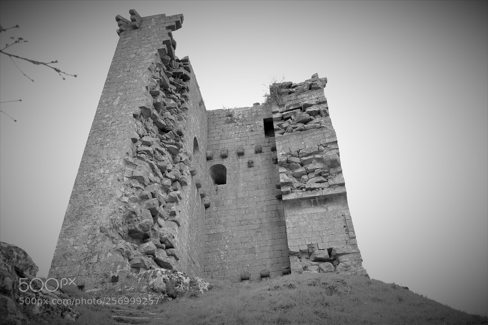 Nikon D3100 sample photo. Torre photography
