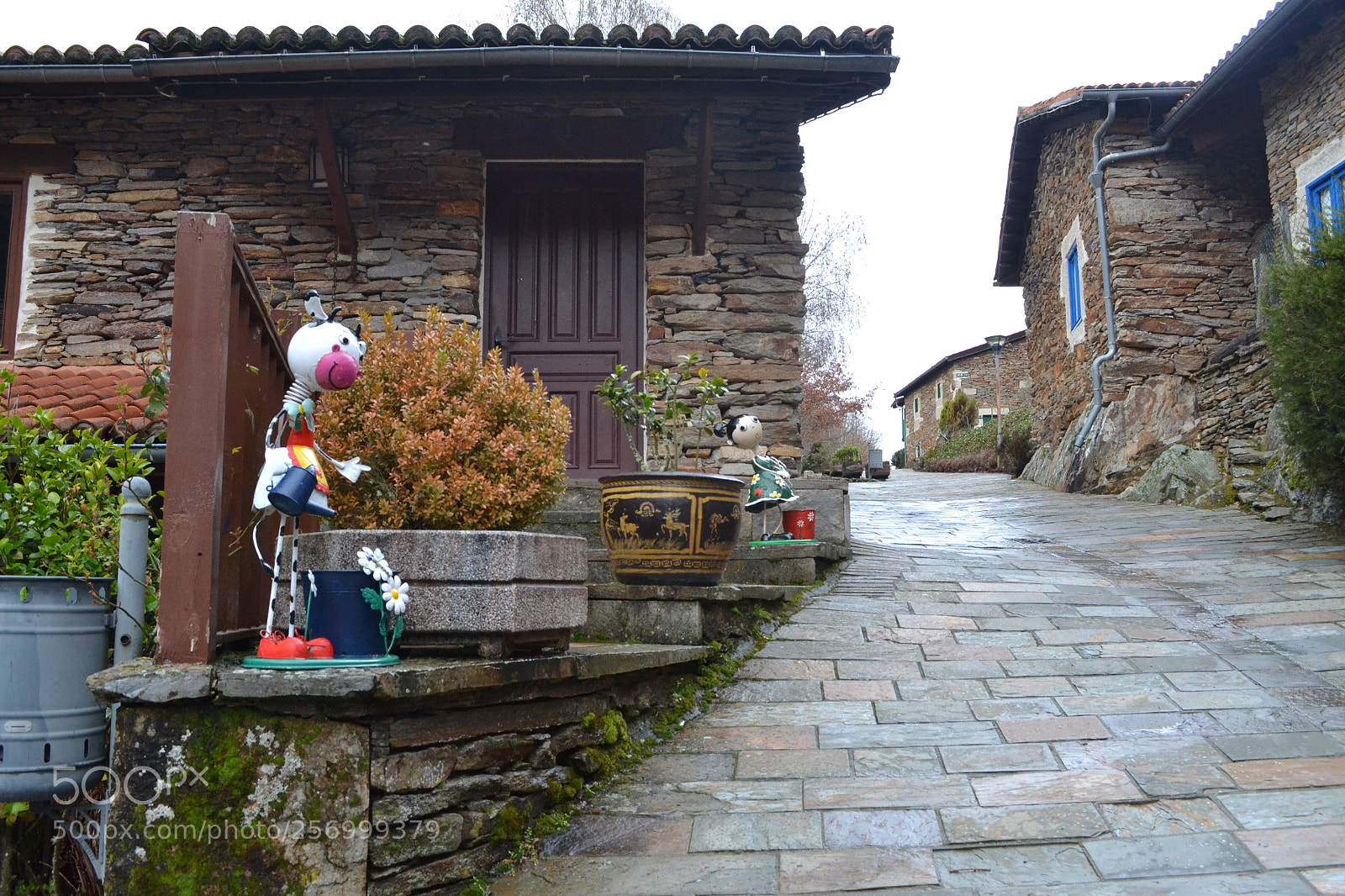 Nikon D3100 sample photo. Couso photography