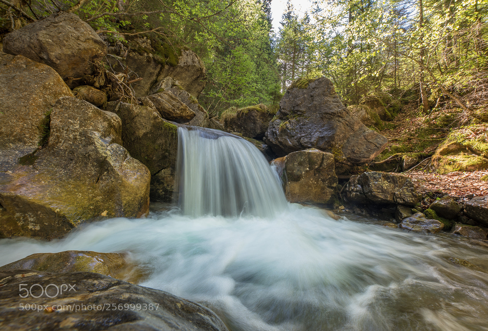 Nikon D750 sample photo. Ruhe photography
