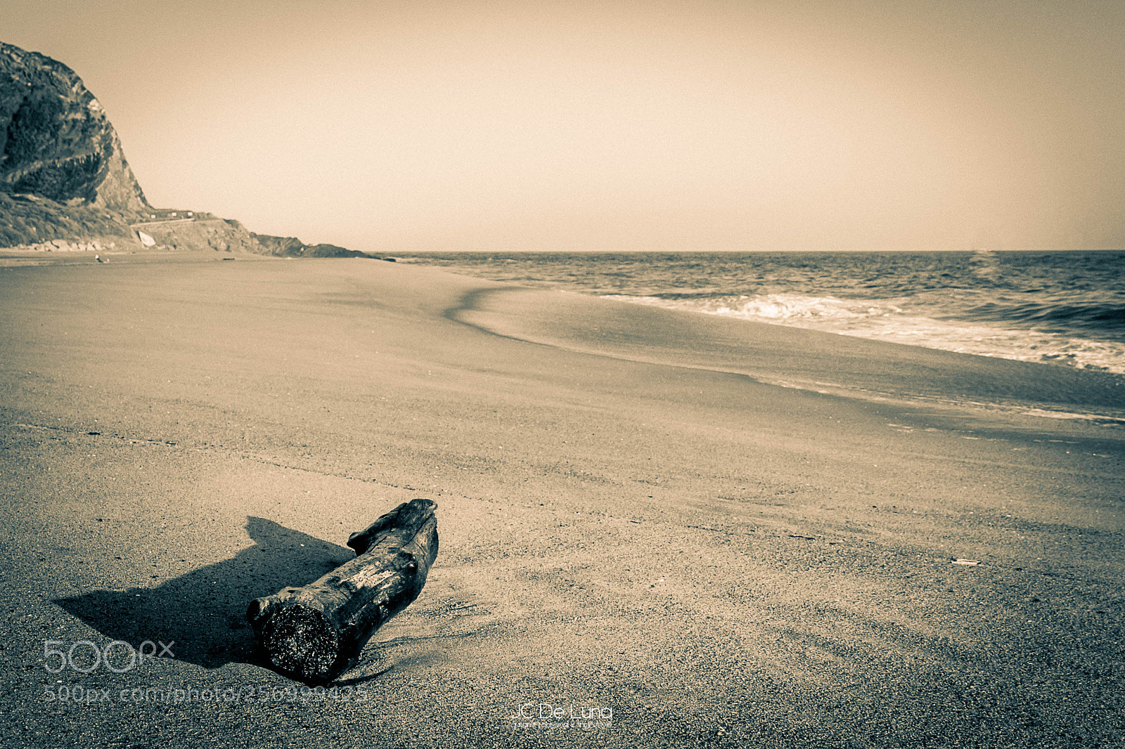 Canon EOS 5D Mark II sample photo. Log on the beach photography