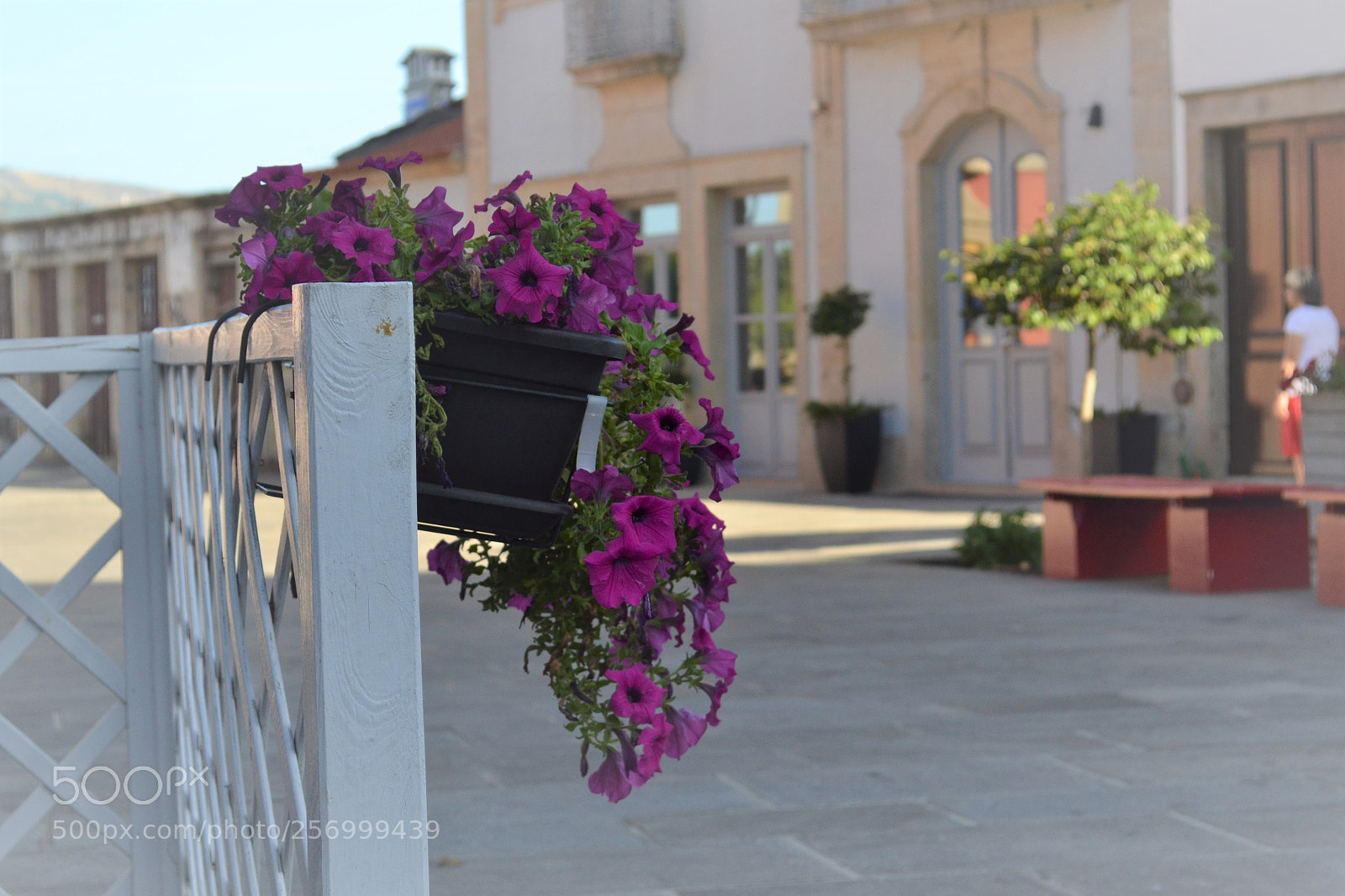 Nikon D3100 sample photo. Ponte de lima photography