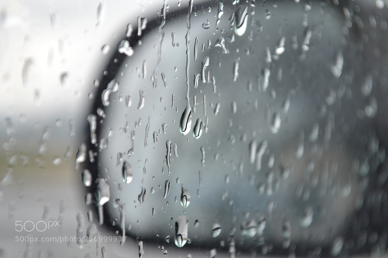 Nikon D3100 sample photo. Choiva photography