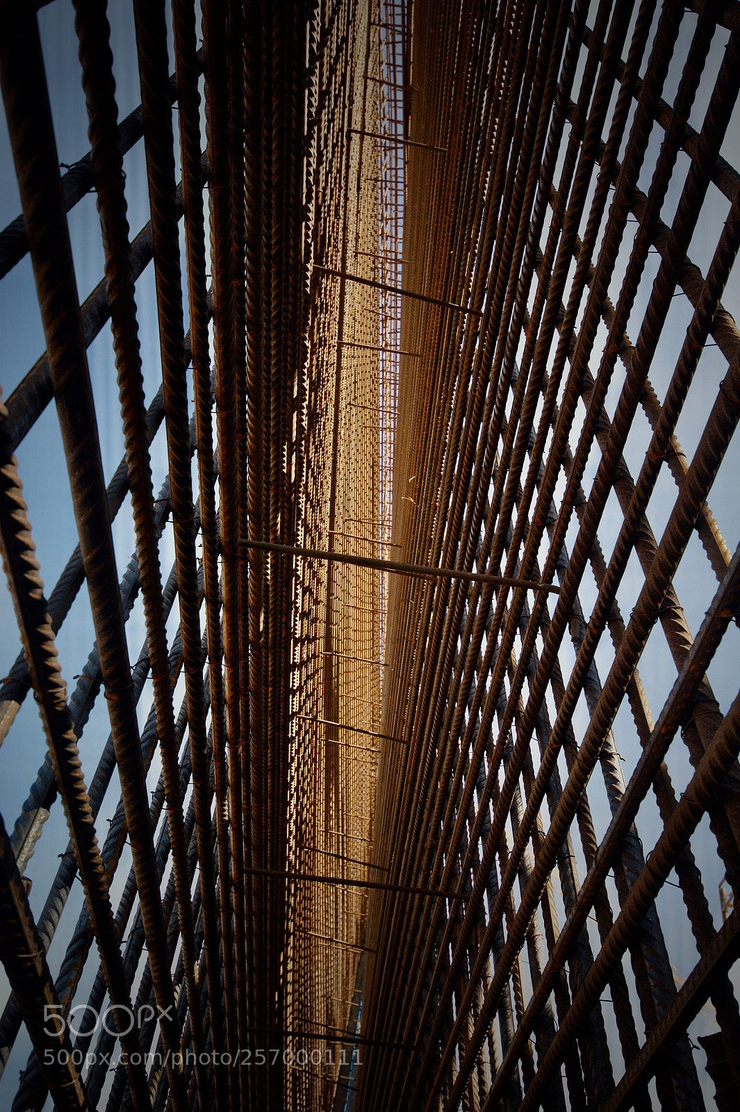Sony Alpha DSLR-A350 sample photo. Rebar. photography