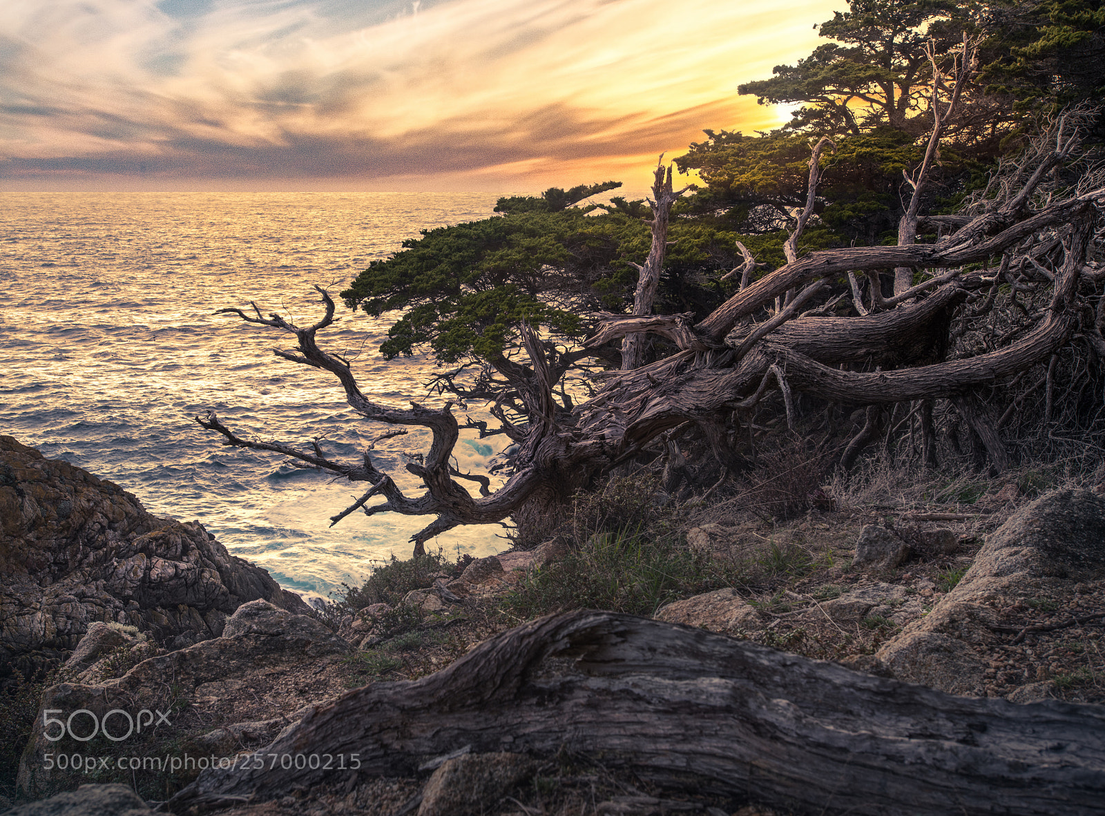 Nikon D850 sample photo. Carmel passage photography