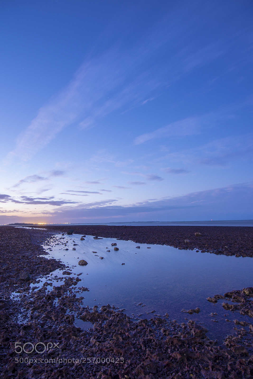 Nikon D800 sample photo. Pristine beach at wellington photography
