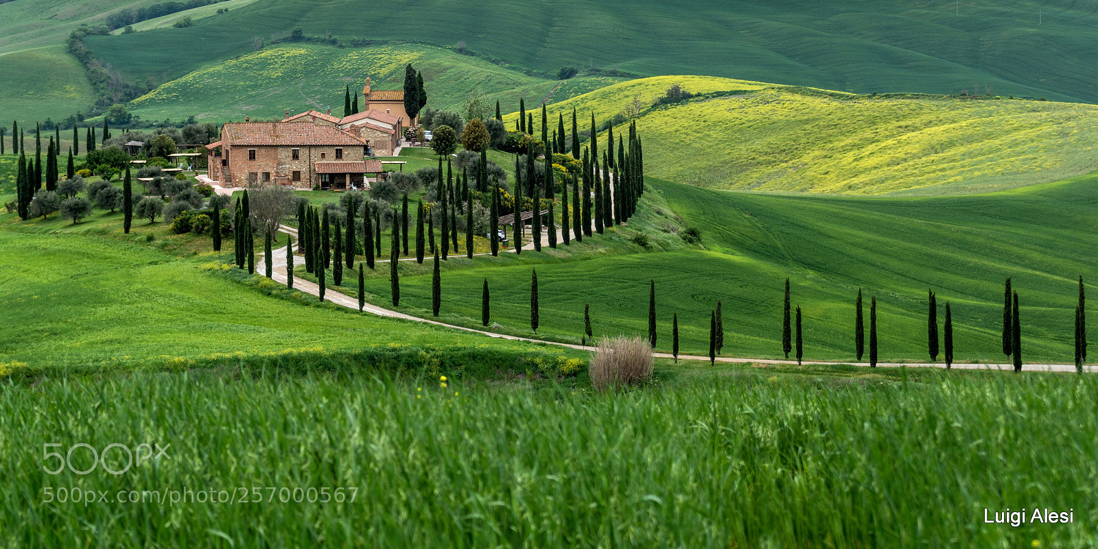 Nikon D7100 sample photo. Val d'orcia photography