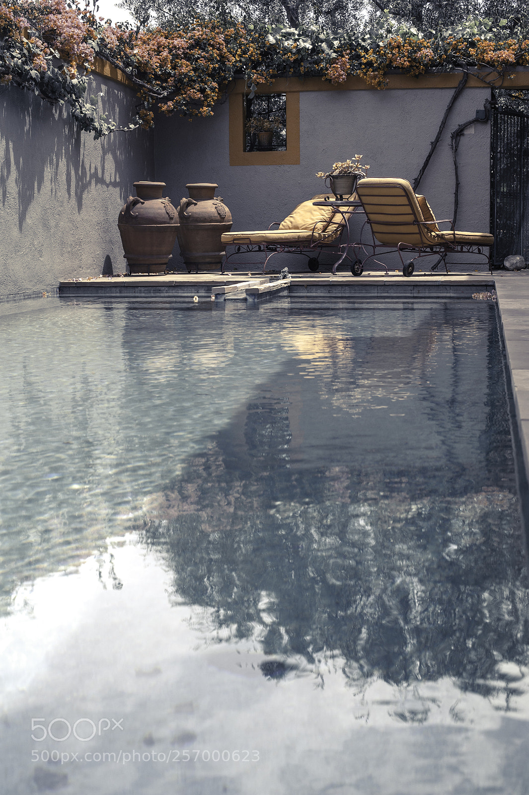 Nikon D700 sample photo. Cheryl's oasis photography