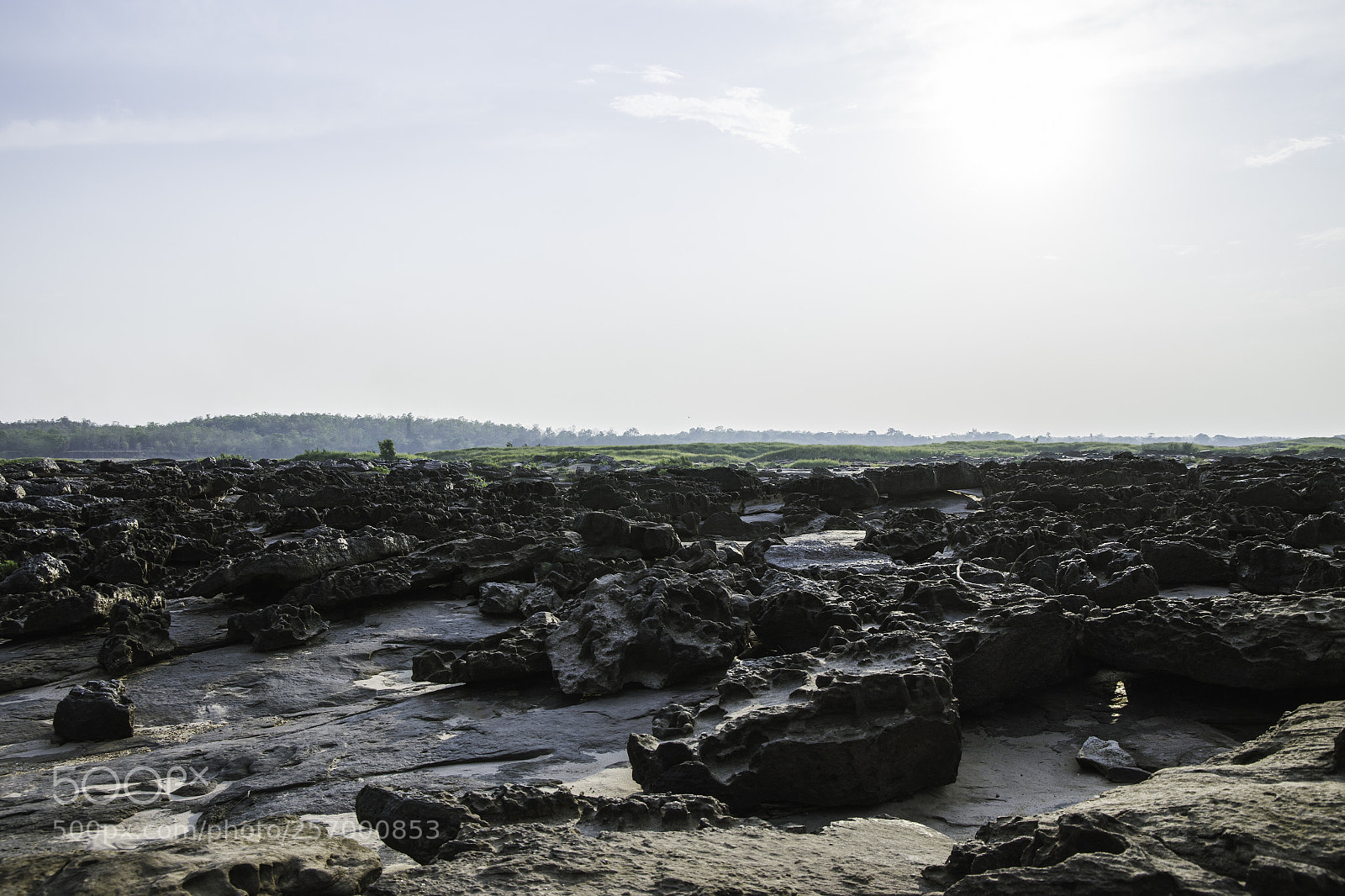 Canon EOS 6D sample photo. Untitled photography