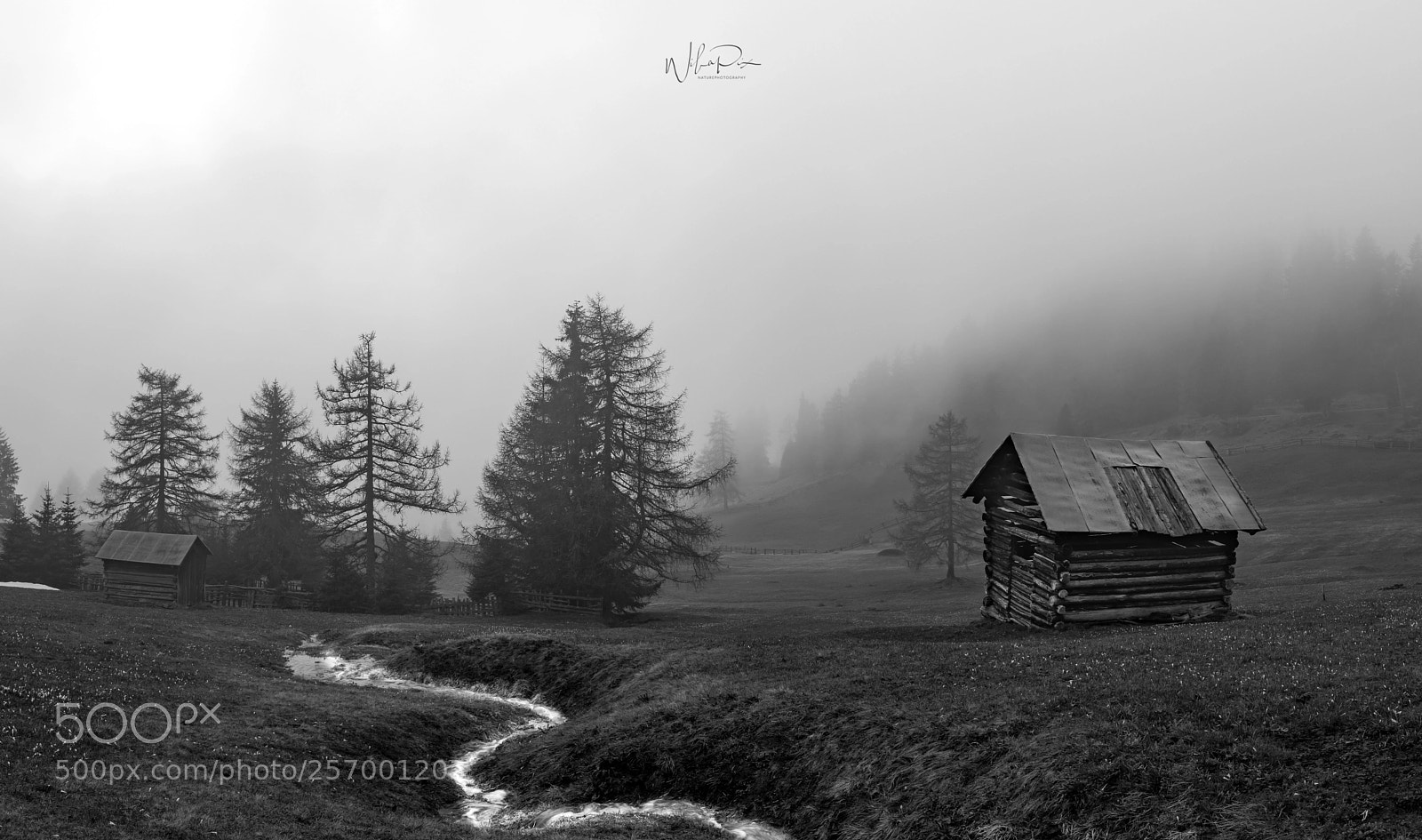 Nikon D500 sample photo. Misty landscape photography