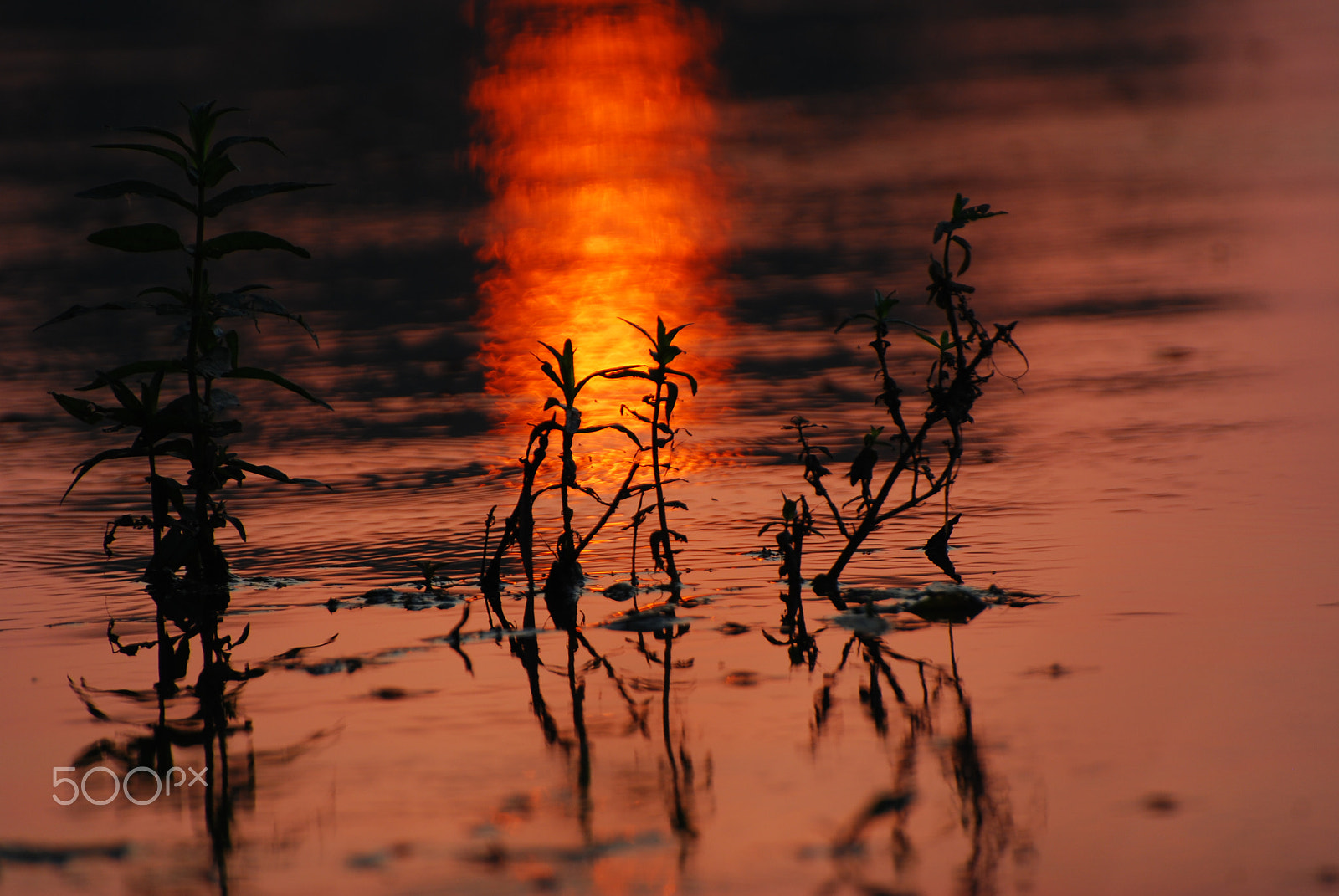Nikon D80 sample photo. Sunset dance photography