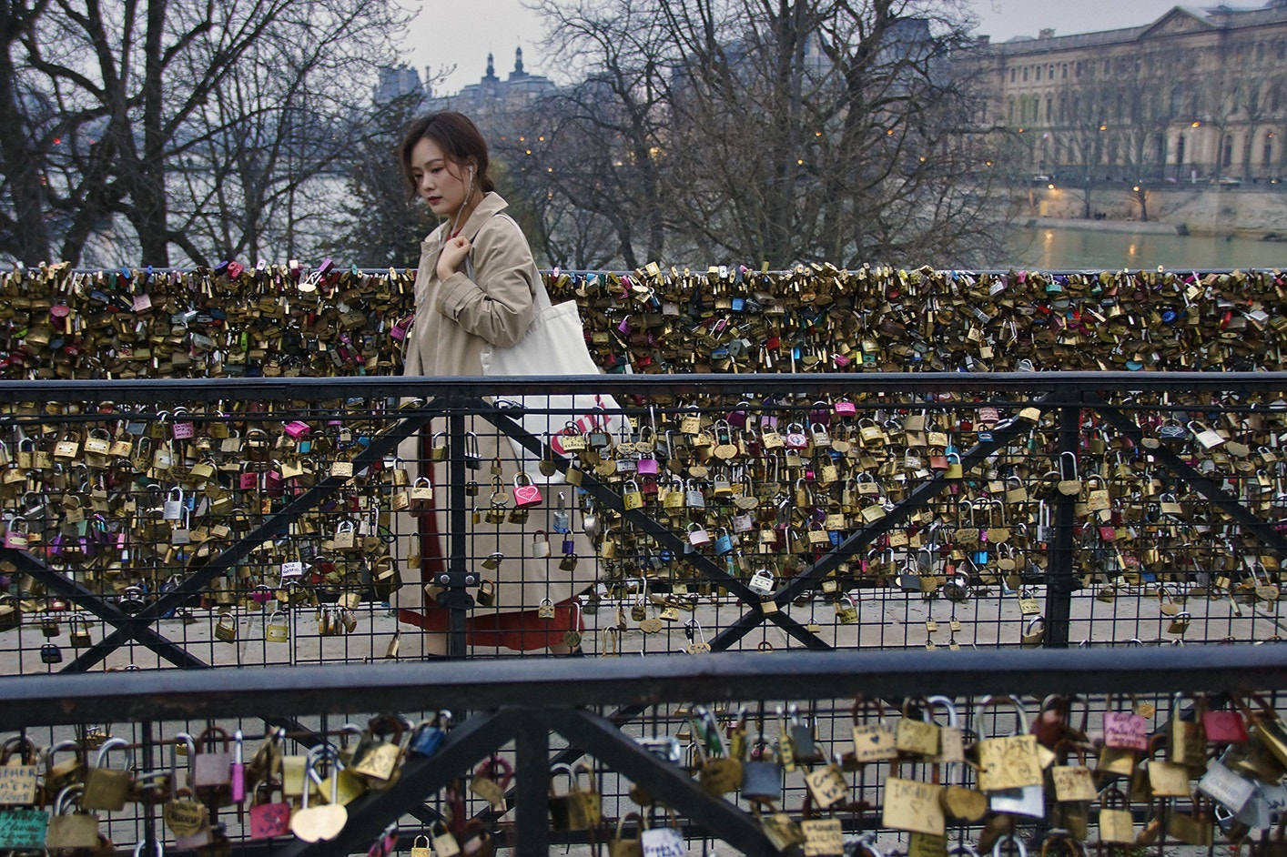 Sony SLT-A65 (SLT-A65V) sample photo. Locks on the island of cité photography