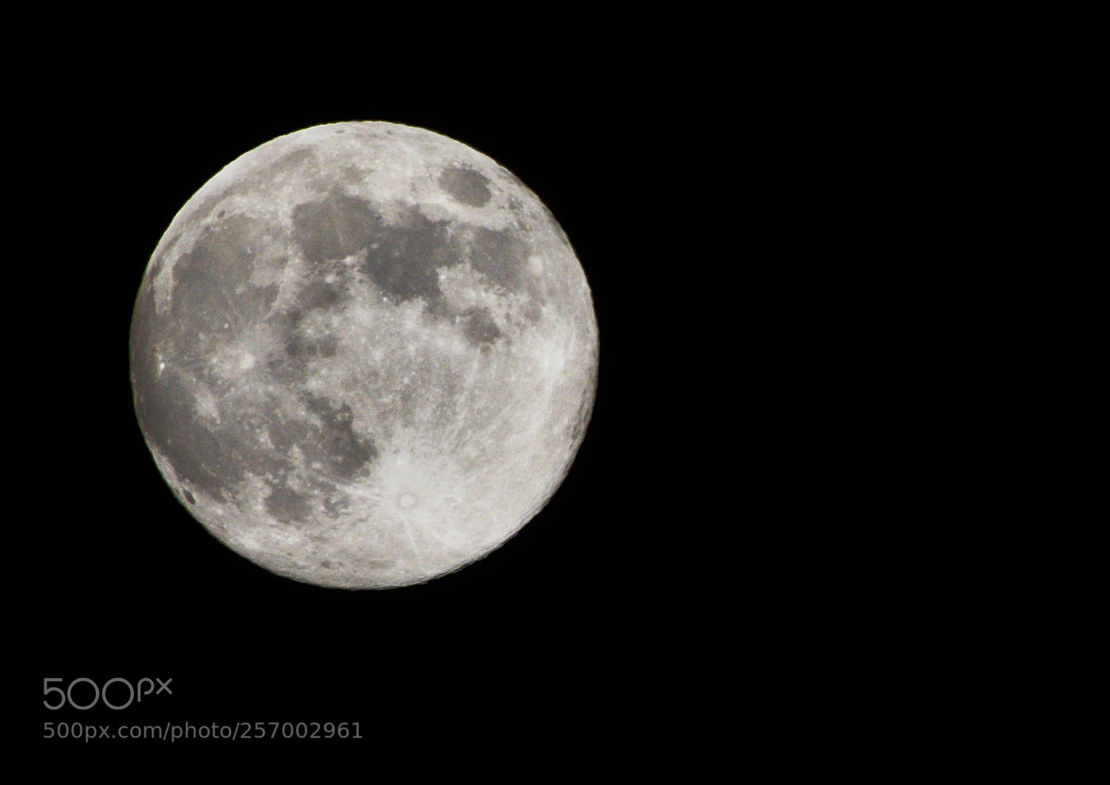 Nikon D7200 sample photo. Fool moon photography