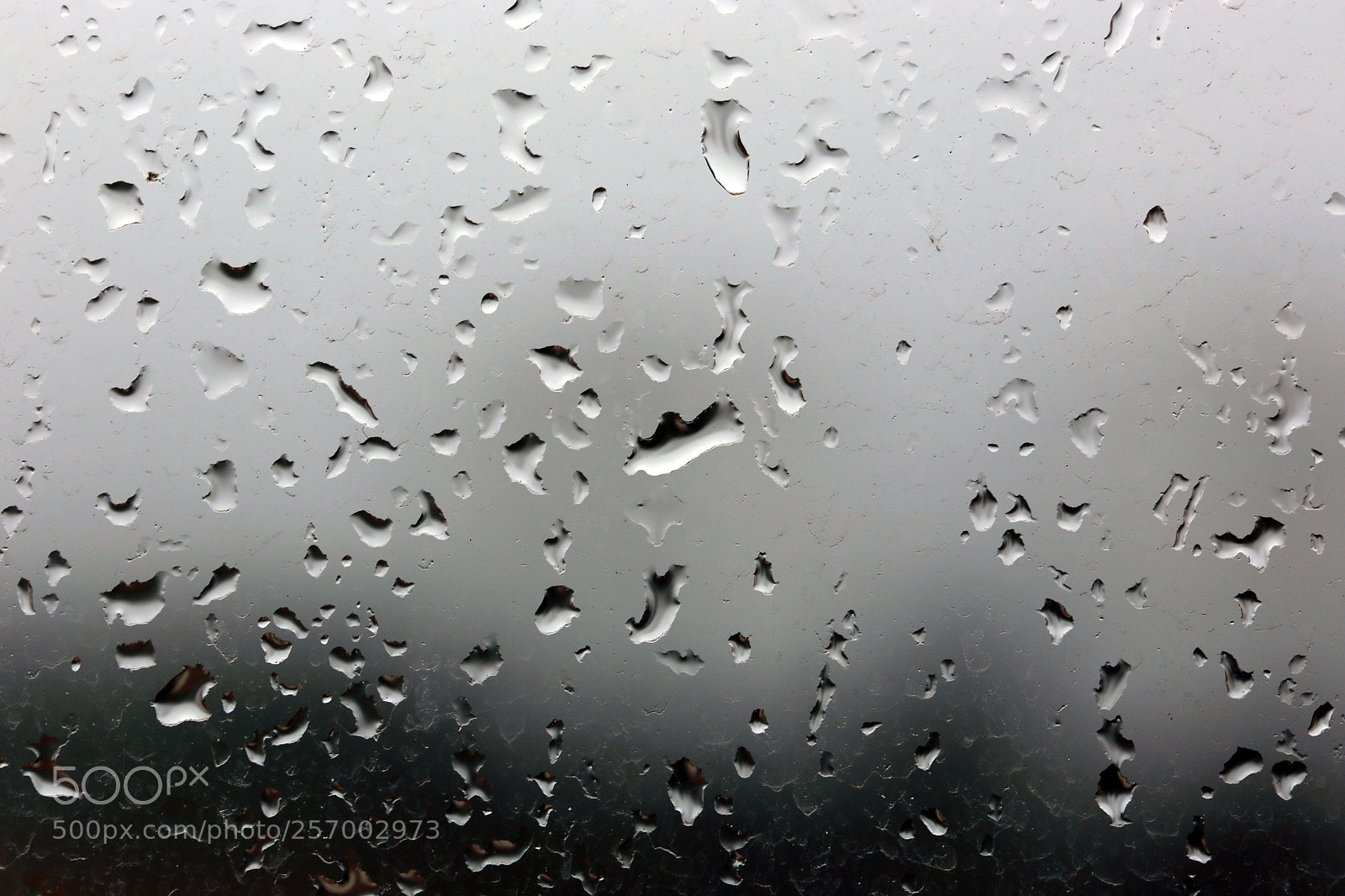 Canon EOS 6D sample photo. Rain drops on a photography