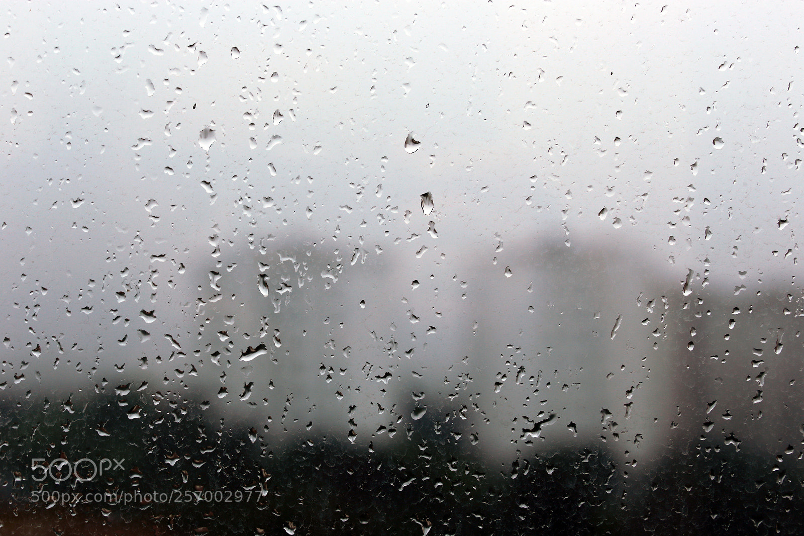 Canon EOS 6D sample photo. Rain drops on a photography