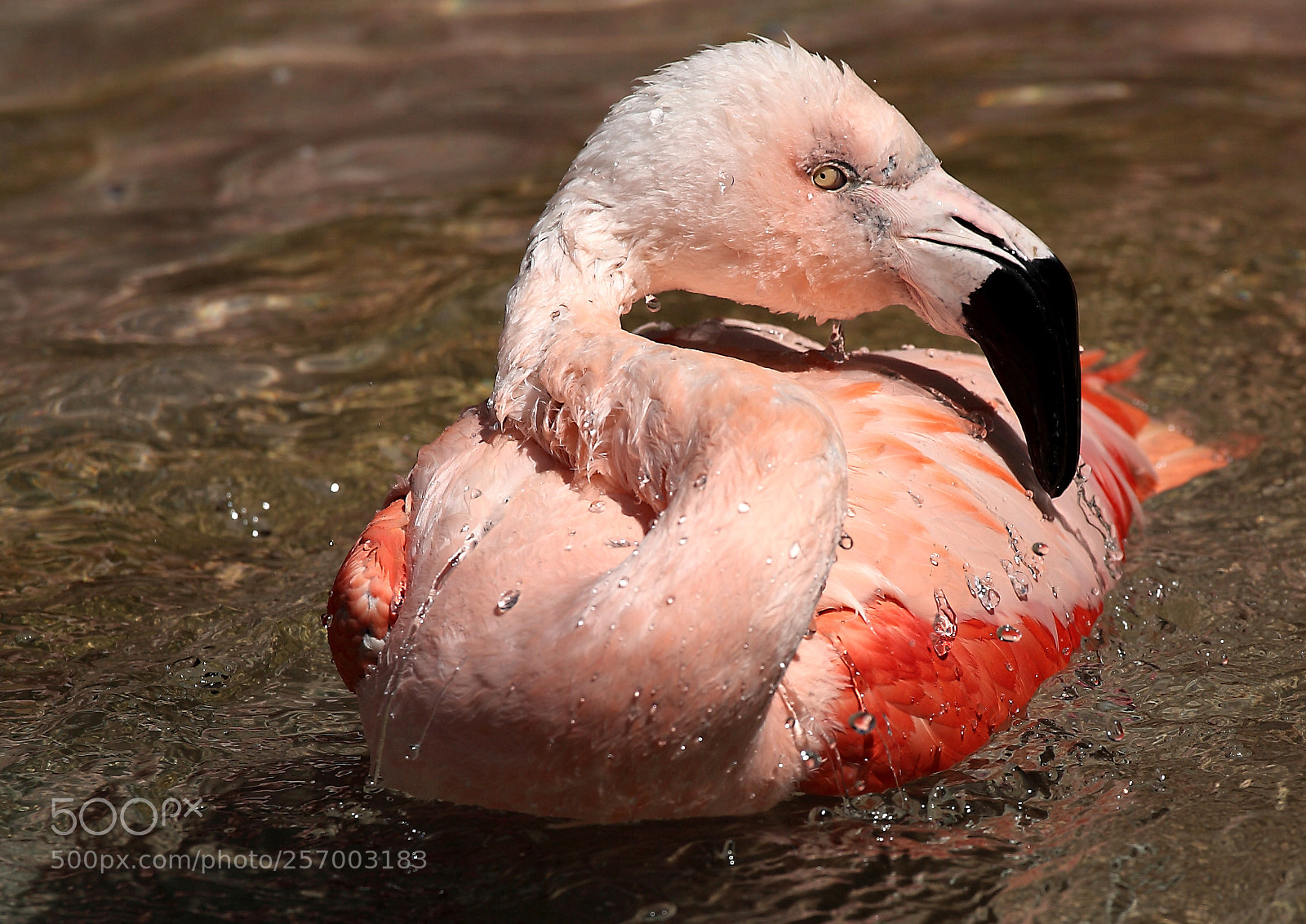 Canon EOS-1D Mark II N sample photo. You can leave now. photography
