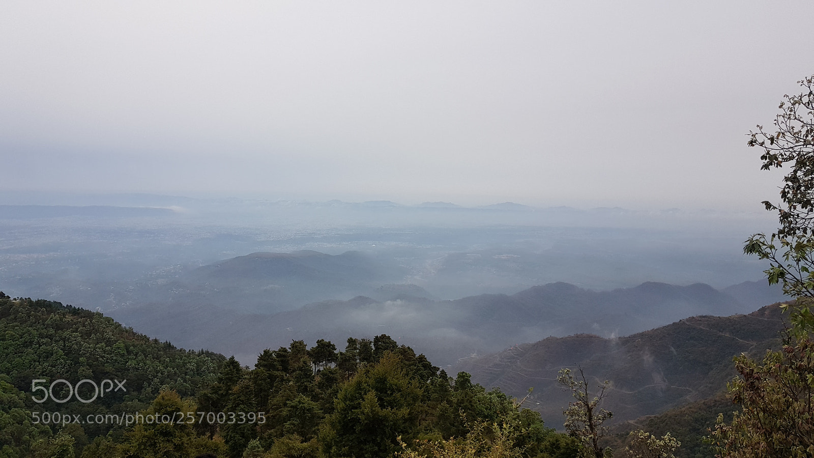 Samsung Galaxy S8 sample photo. 20180409_123539.jpg photography
