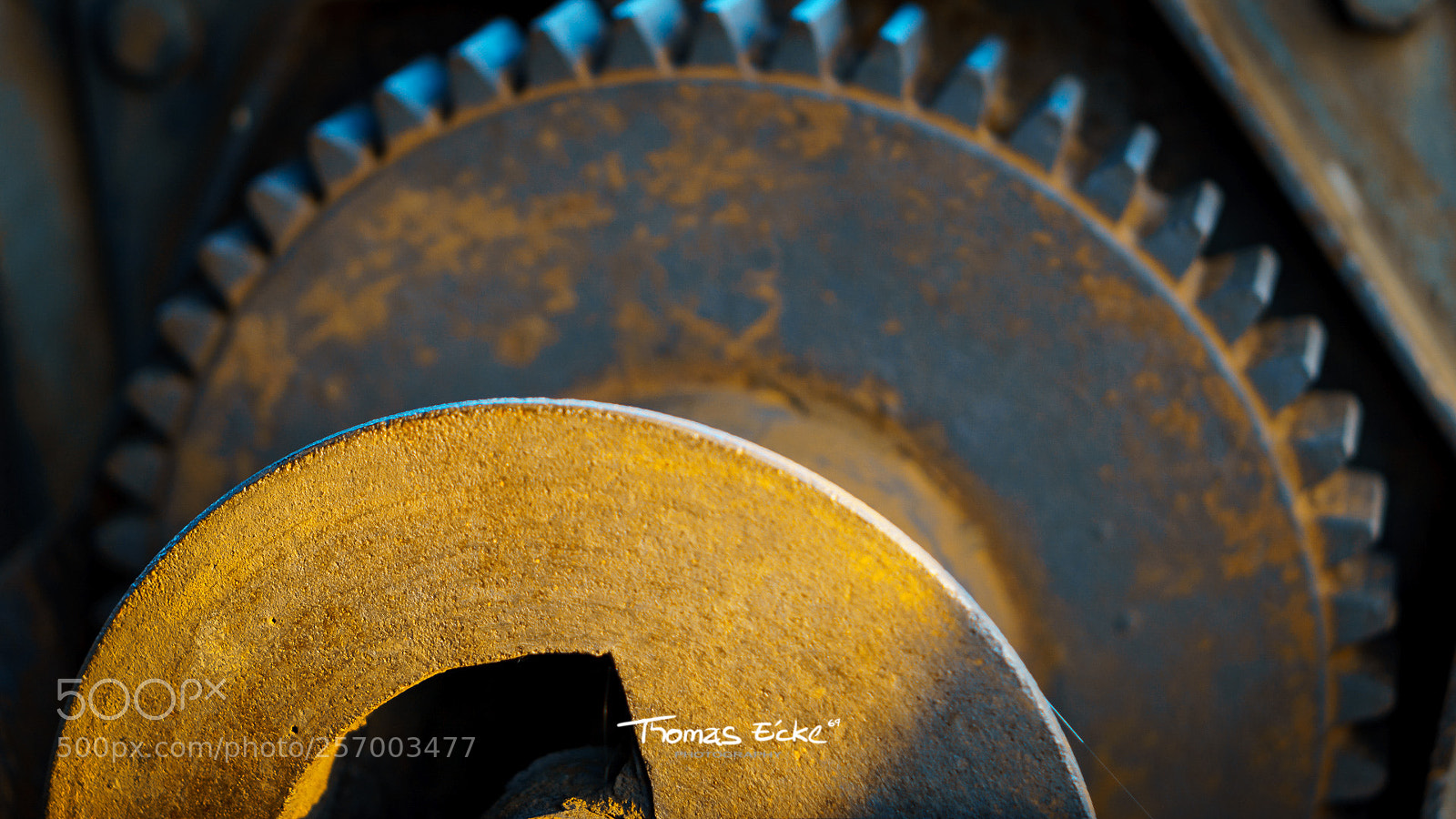 Sony a6000 sample photo. Dsc photography