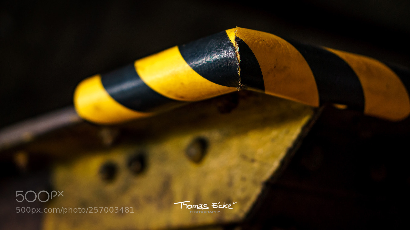 Sony a6000 sample photo. Dsc photography