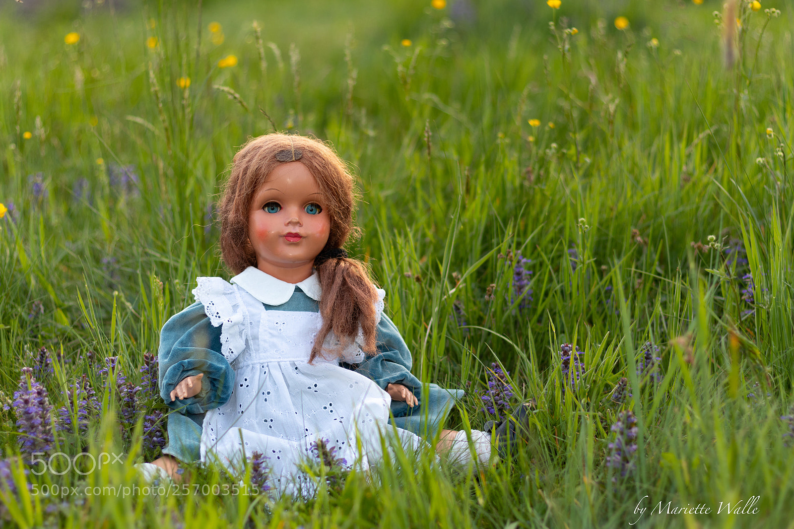 Canon EOS M5 sample photo. Louisa enjoying the evening photography