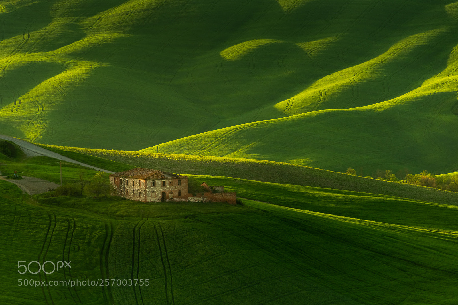 Nikon D800E sample photo. Crete senesi photography