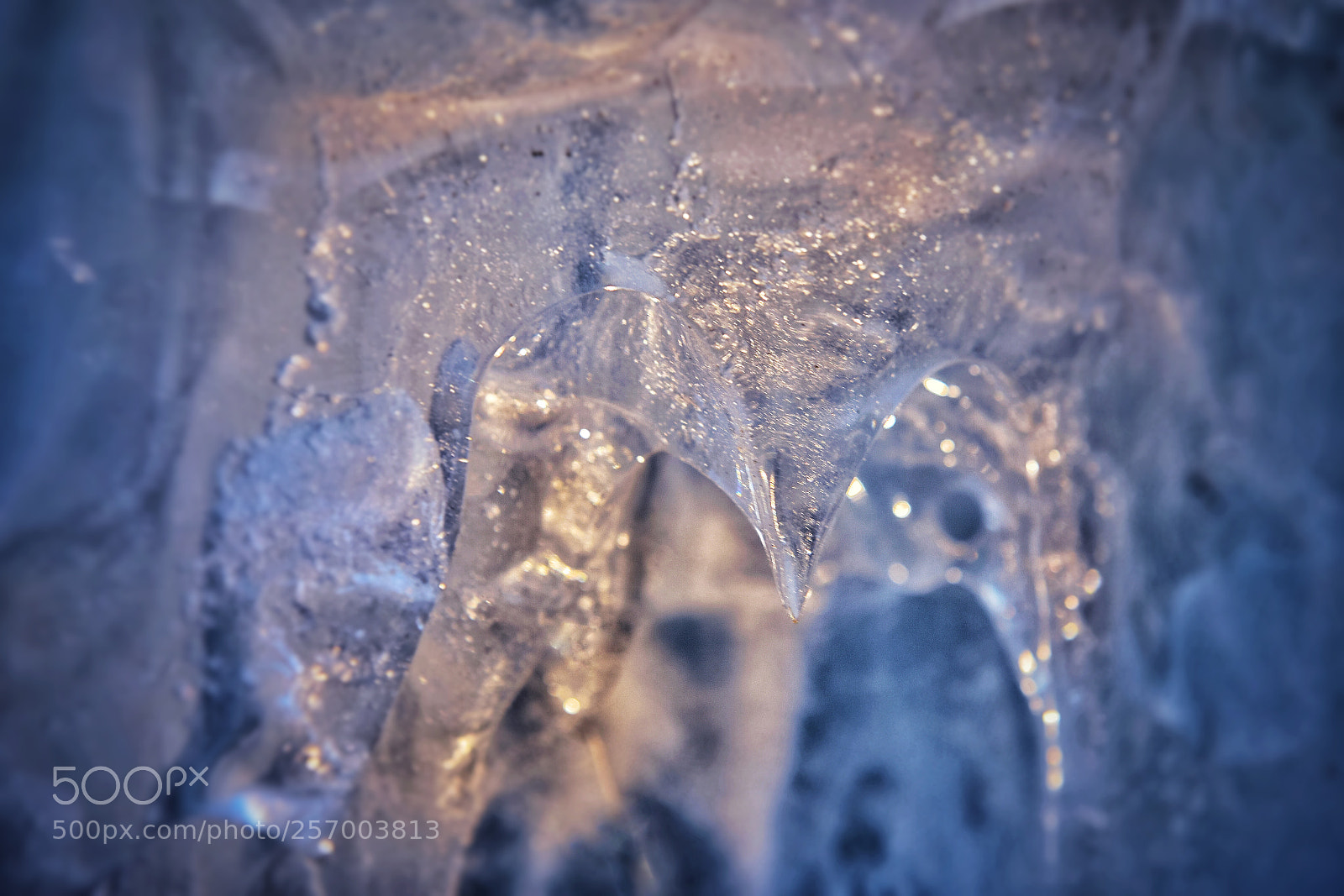 Nikon D810 sample photo. Ice photography