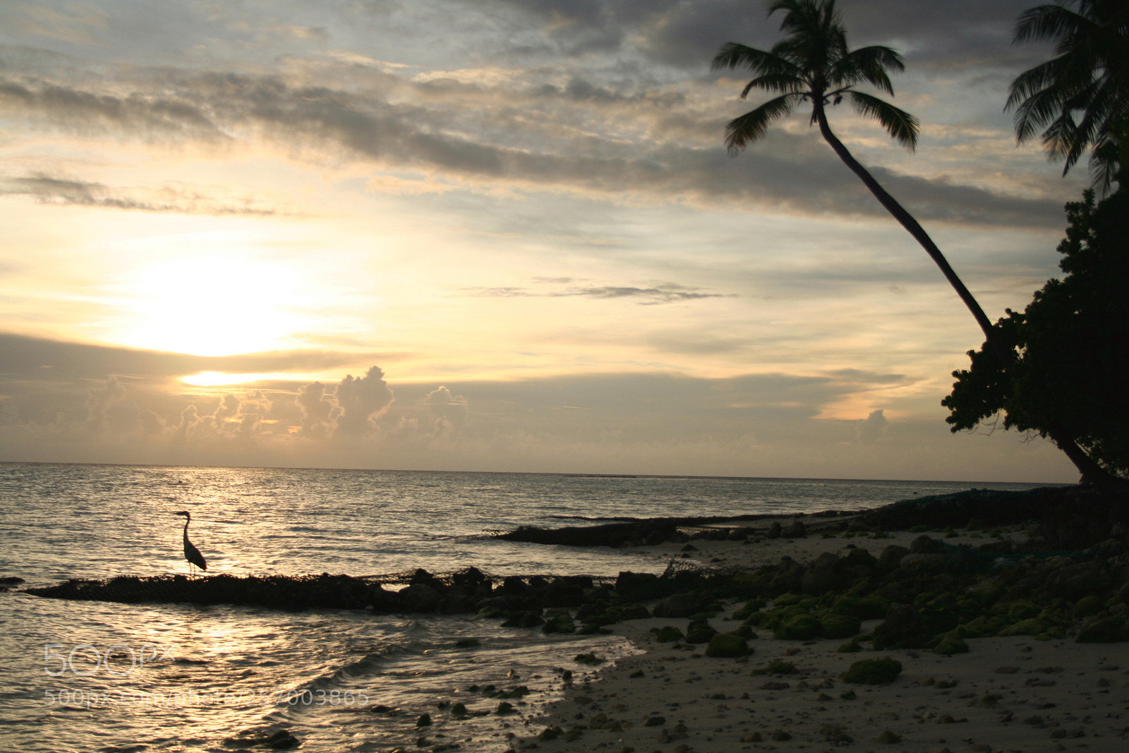 Canon EOS 350D (EOS Digital Rebel XT / EOS Kiss Digital N) sample photo. Maldives photography