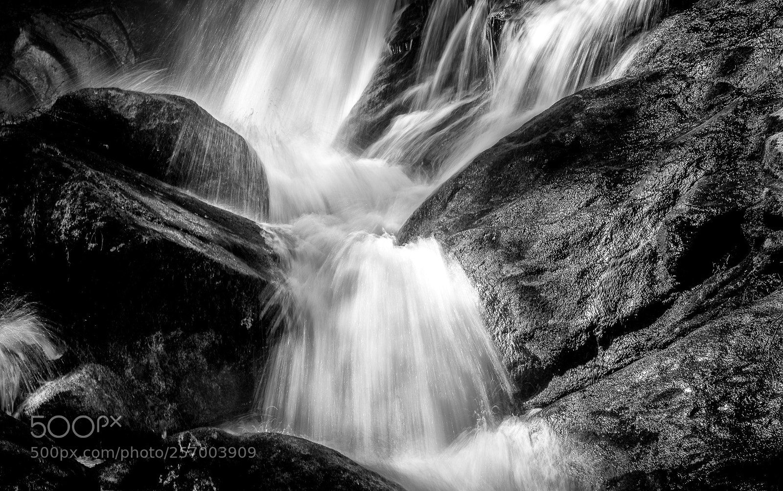 Nikon D810 sample photo. Silver stream photography