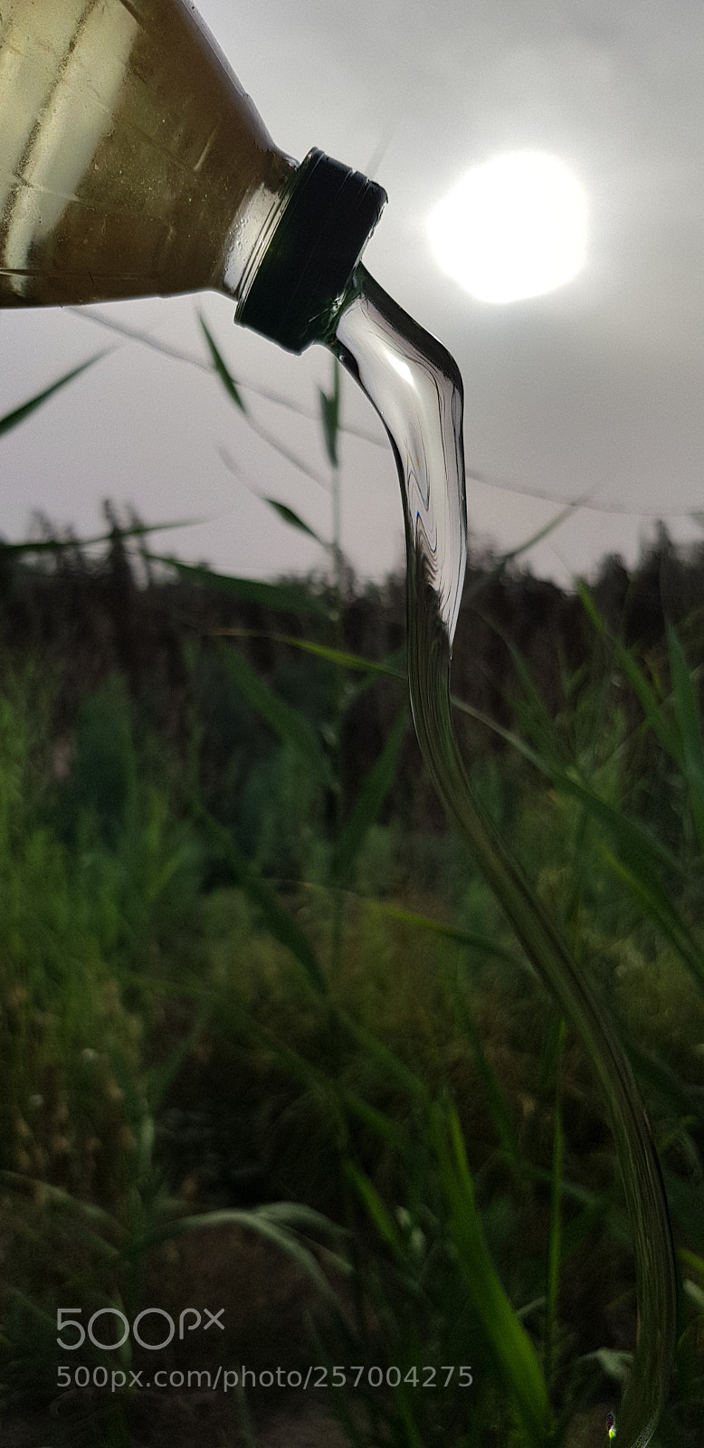 Samsung Galaxy S8+ sample photo. Untitled photography
