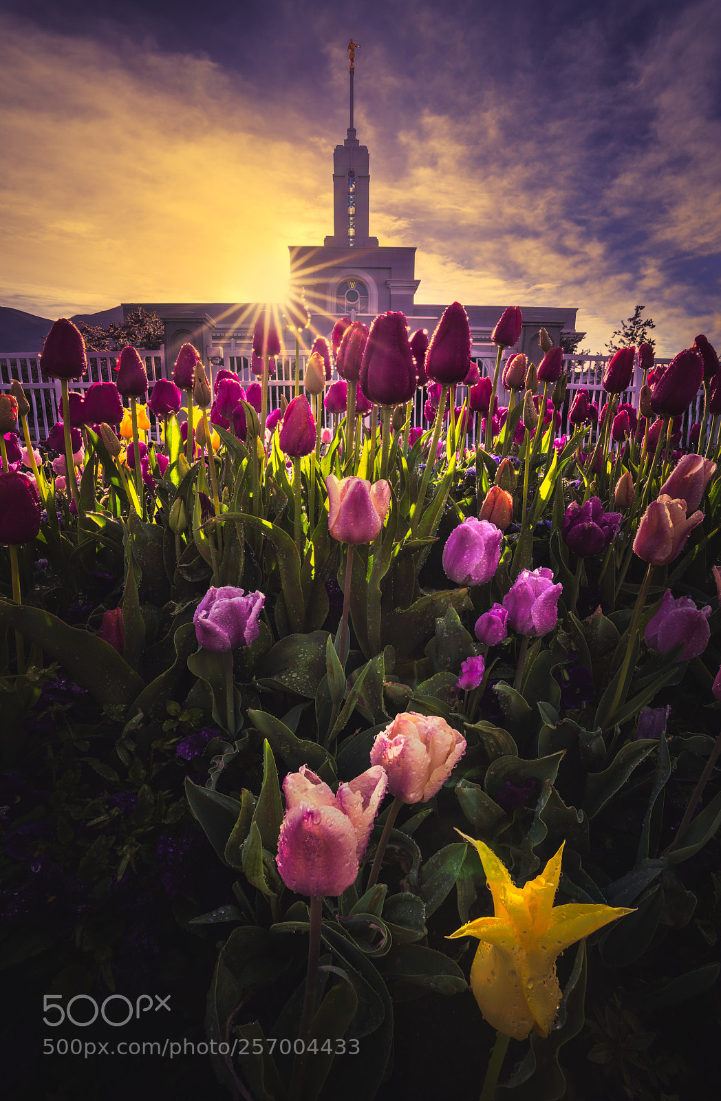 Sony a7R III sample photo. Mount timpanogos temple sunrise  photography