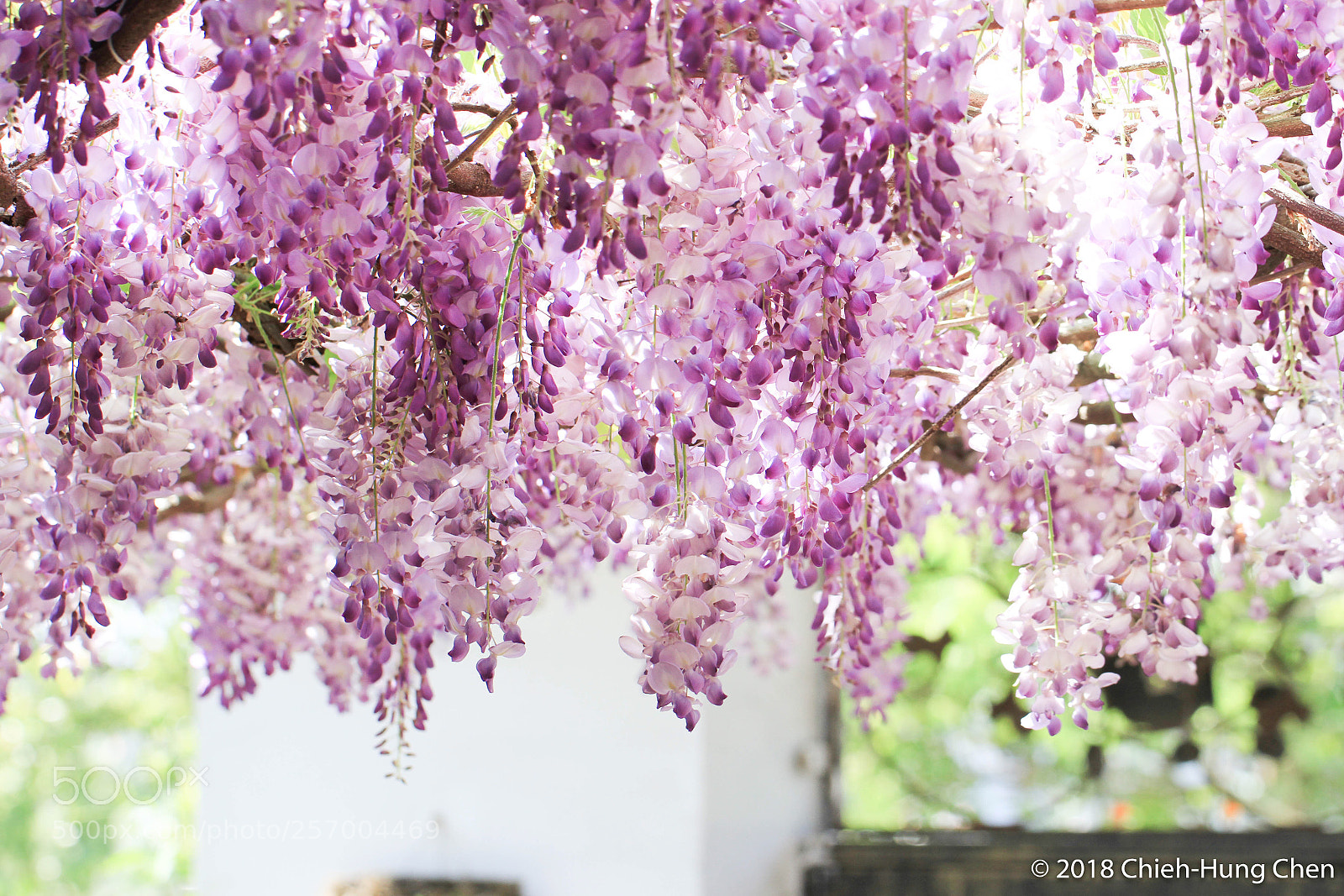 Canon EOS 7D sample photo. Untitled photography