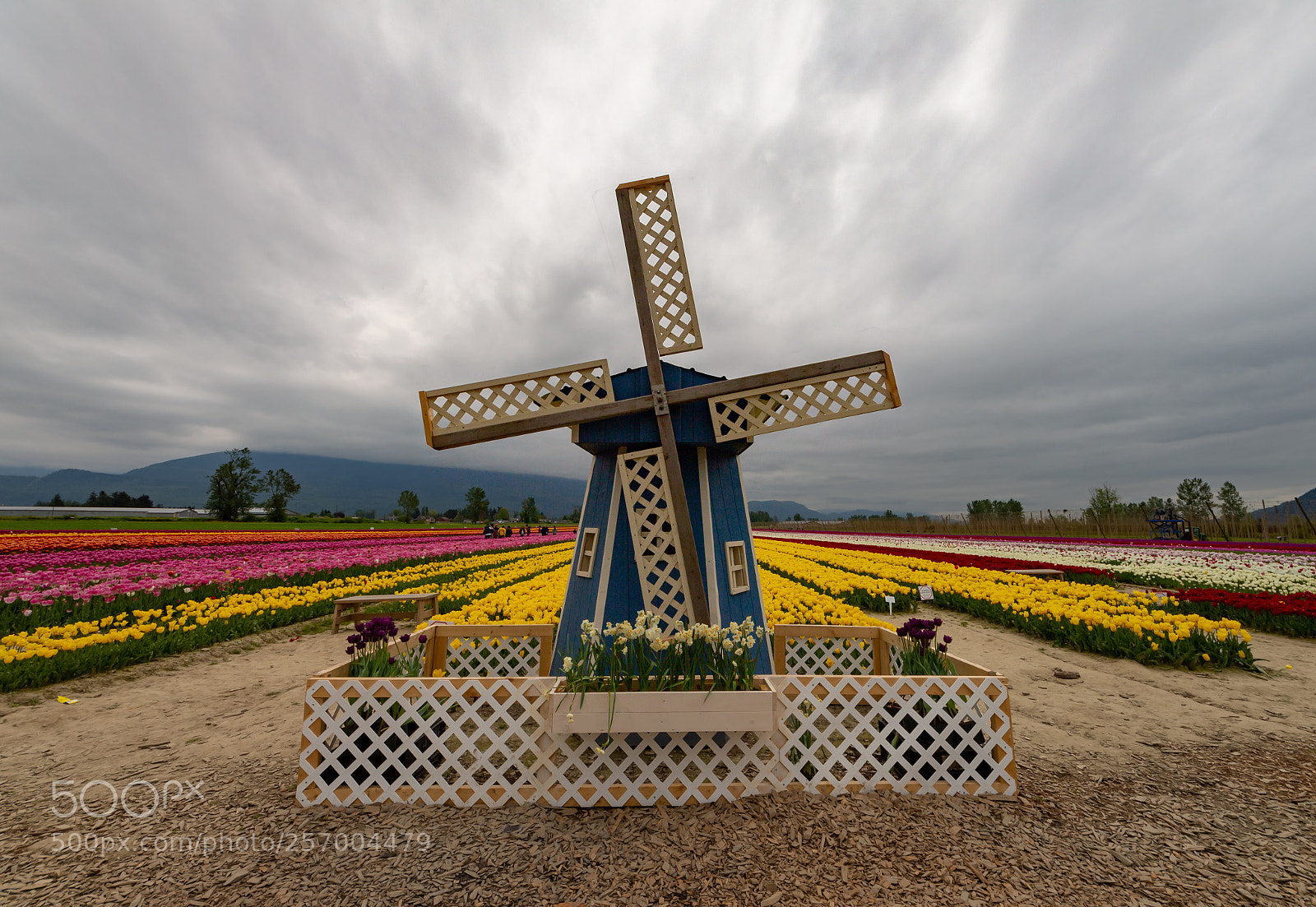 Canon EOS 700D (EOS Rebel T5i / EOS Kiss X7i) sample photo. Small windmill photography