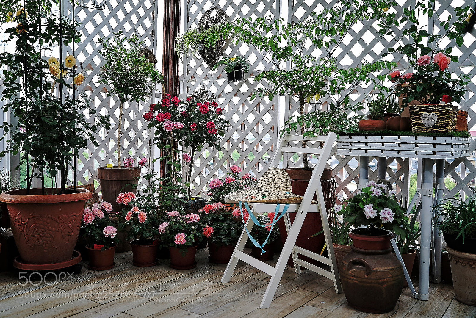 Sony a7S sample photo. 家园小景 photography