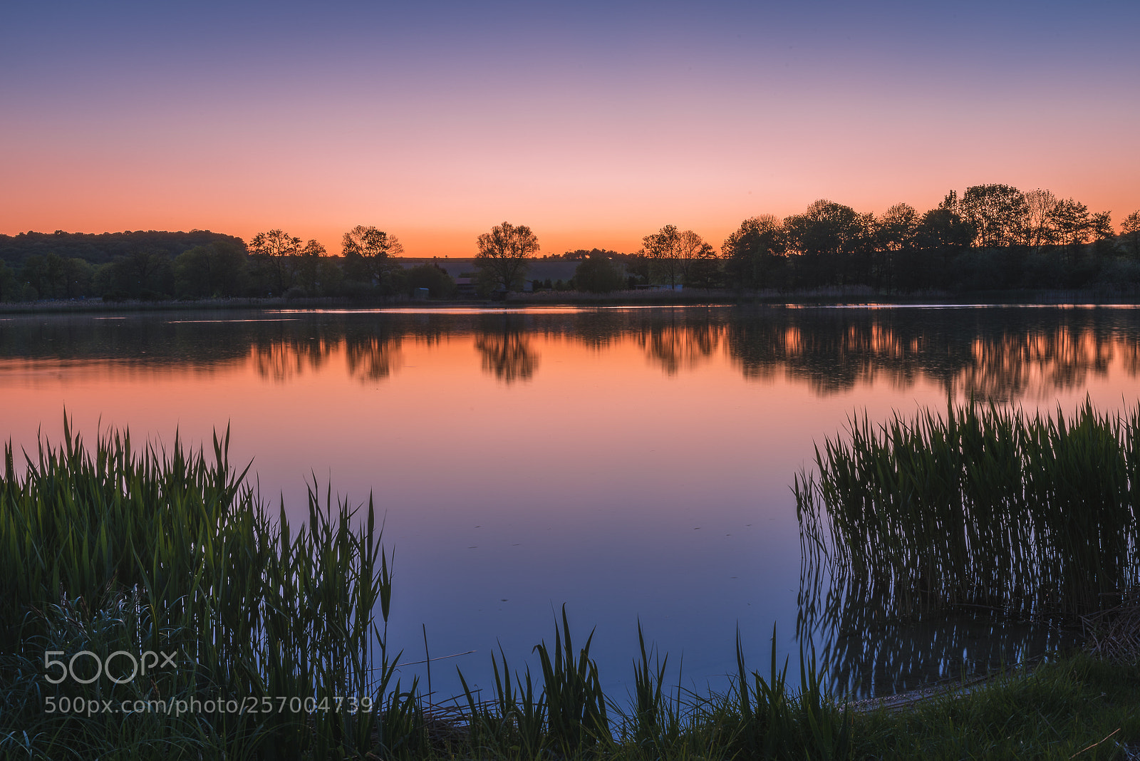 Nikon D750 sample photo. Silent lake photography