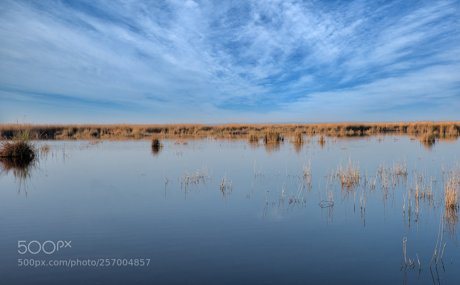 Fujifilm X-T2 sample photo. Neusiedlersee photography