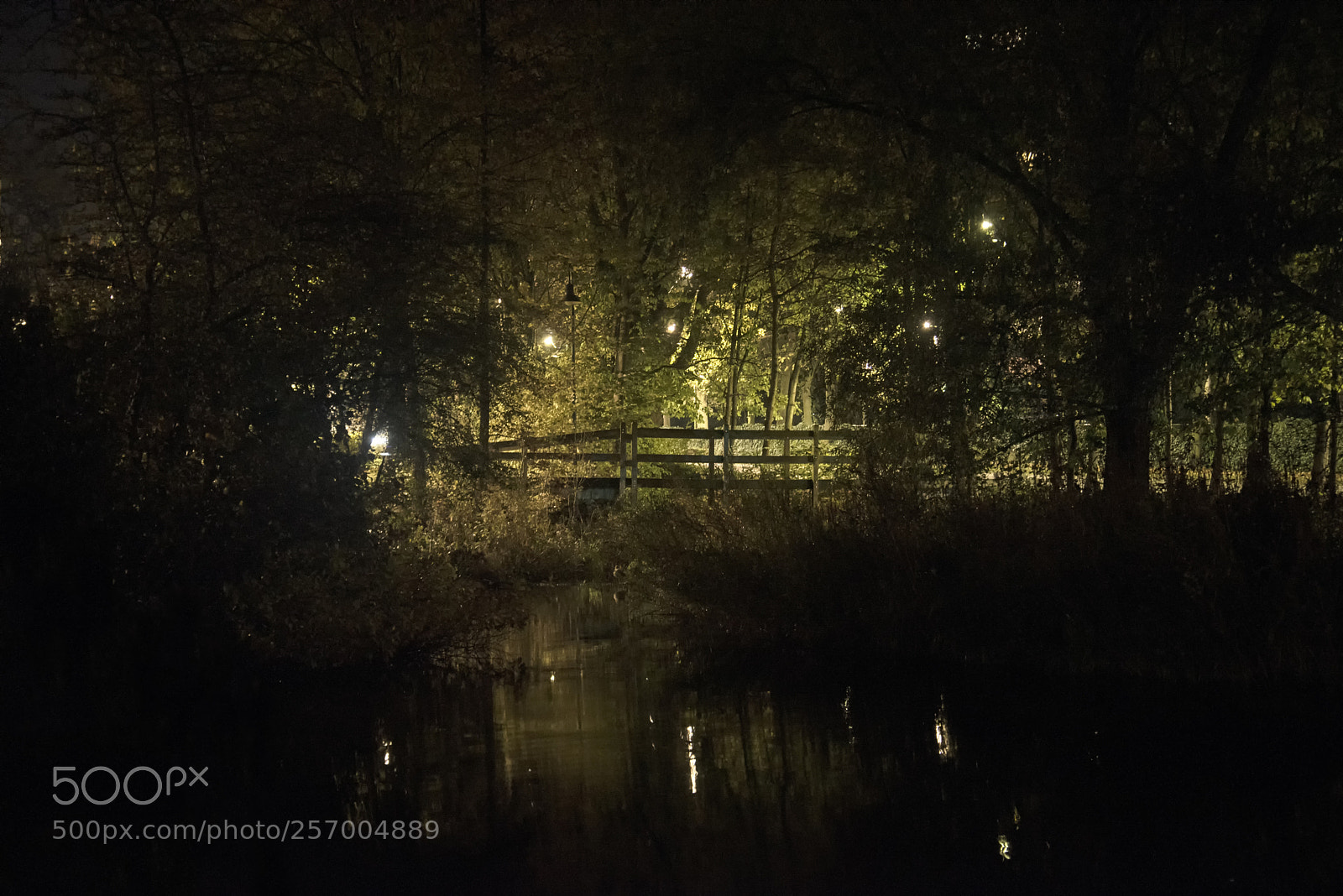 Nikon D750 sample photo. Bridge by night photography