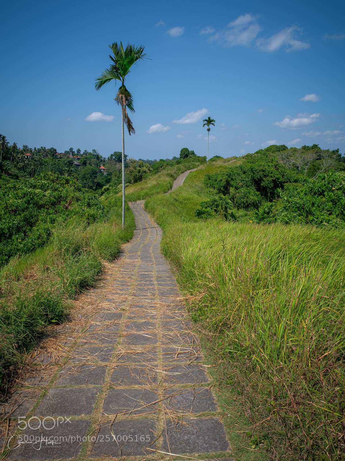 Nikon D850 sample photo. The ridge photography