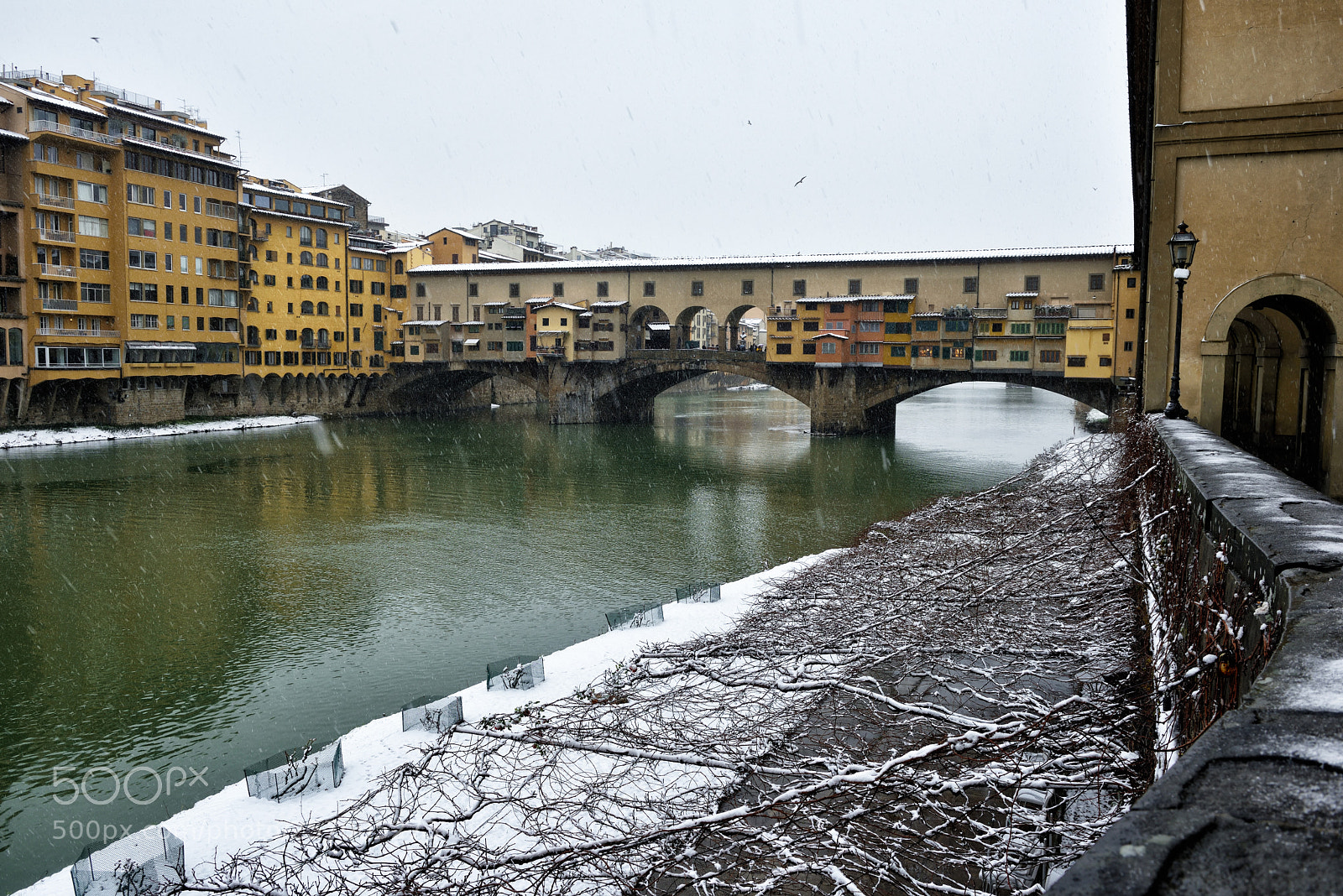 Nikon D810 sample photo. Florence white 2018 xv photography