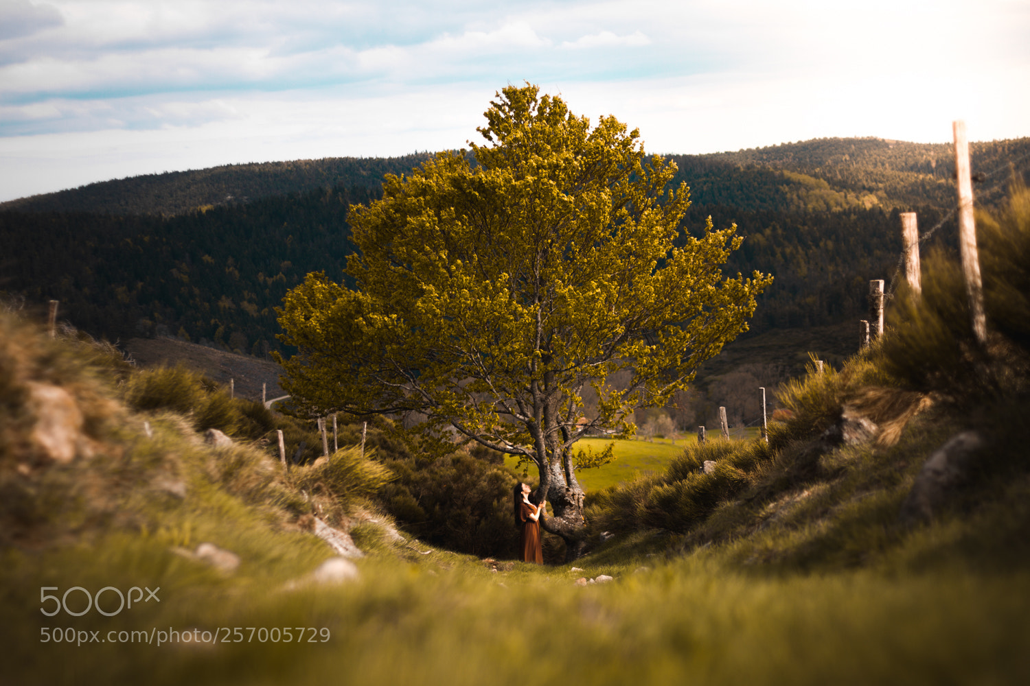 Canon EOS 7D sample photo. A l'ombre de la photography
