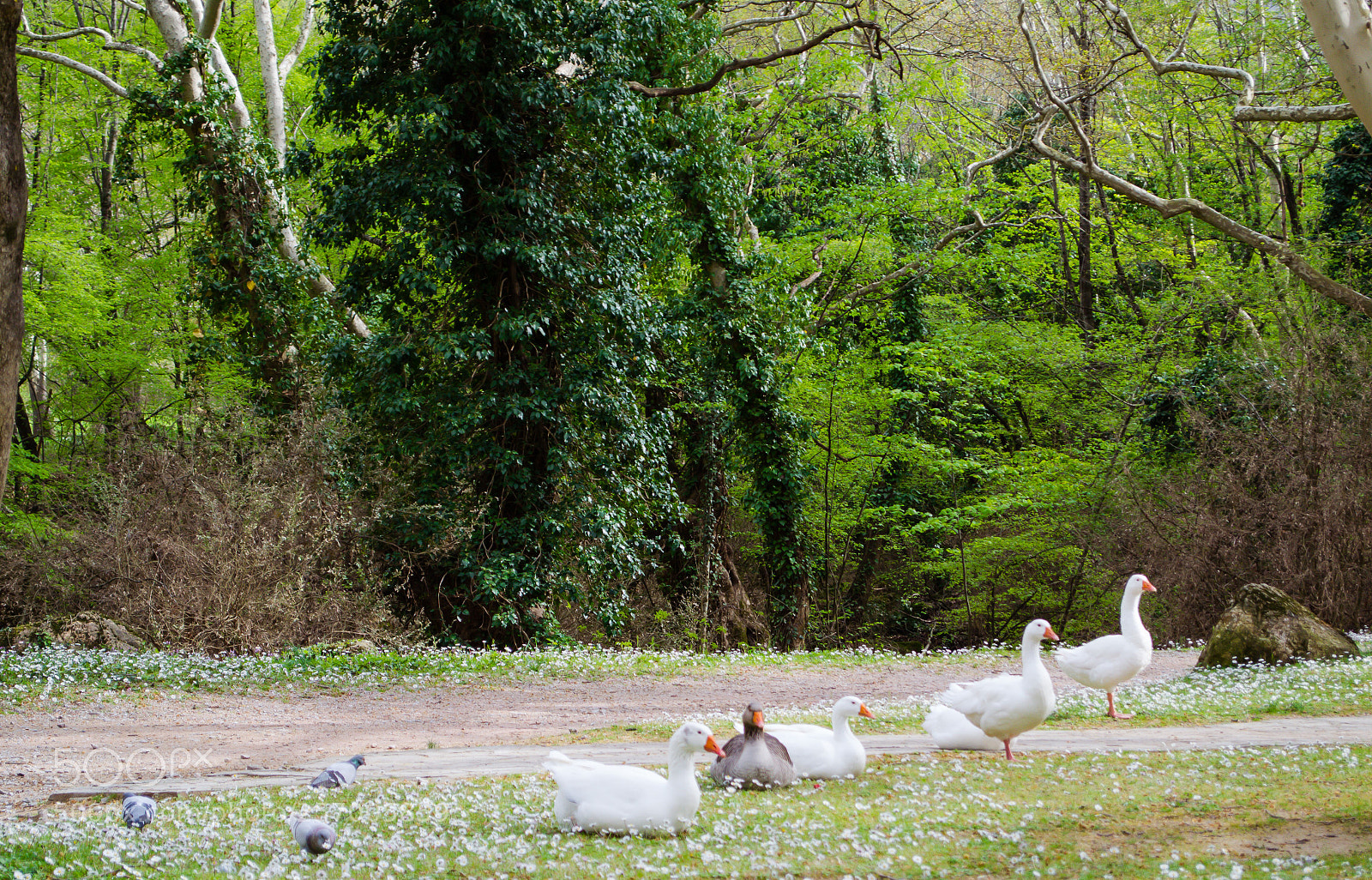 Nikon D3100 sample photo. One-two-three-four-five-six photography