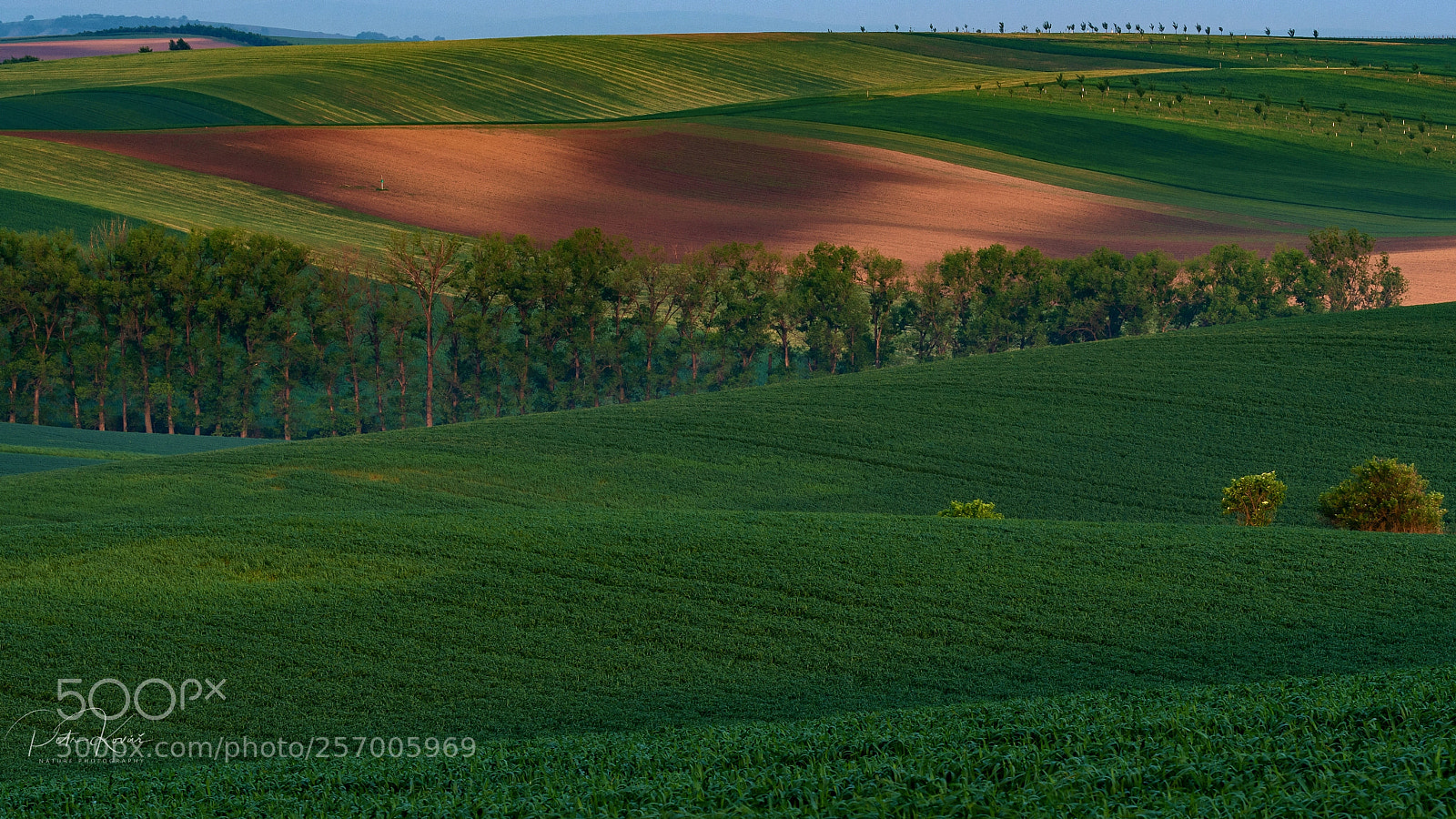 Nikon D500 sample photo. Sunrise at moravian fields photography