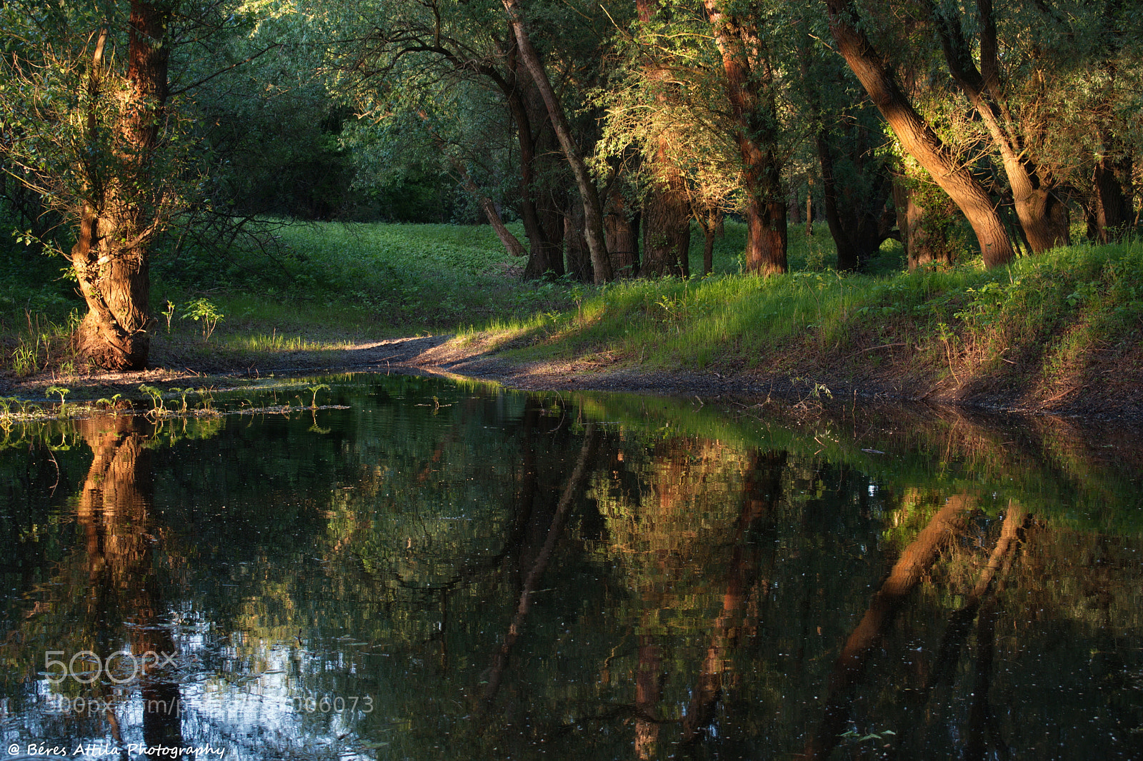 Nikon D3300 sample photo. Hidden lake photography
