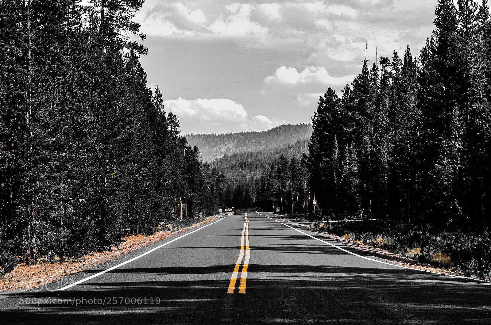 Nikon D7000 sample photo. B&w road photography