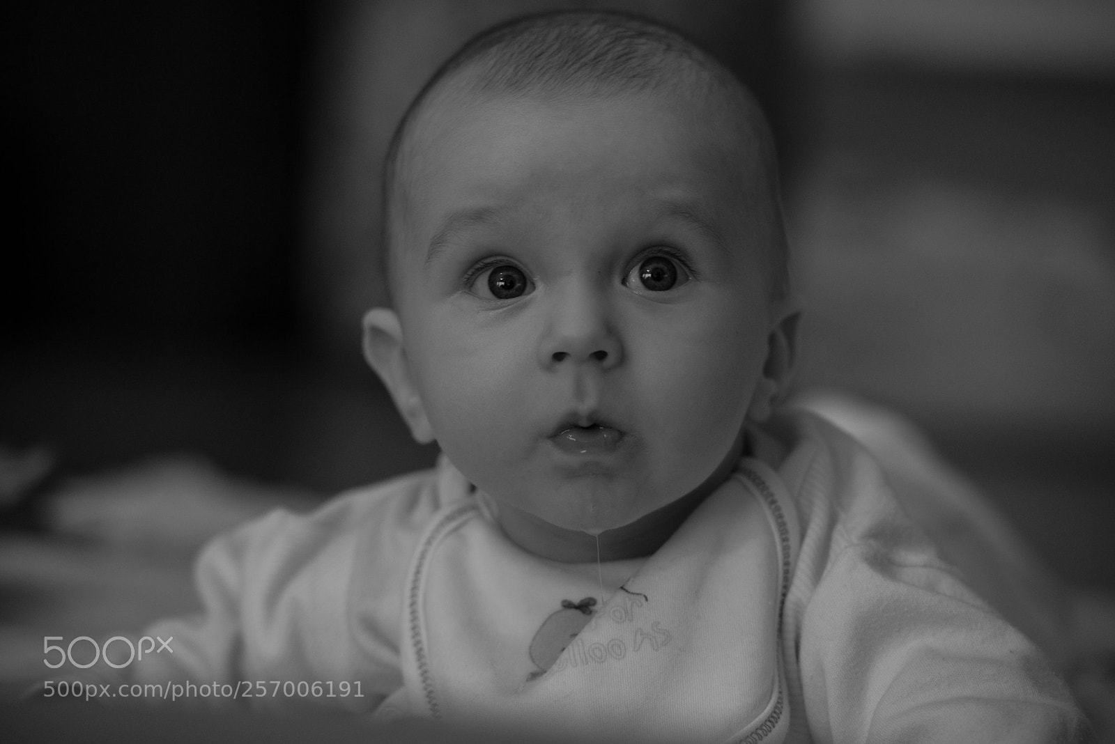 Nikon D800 sample photo. My little star photography