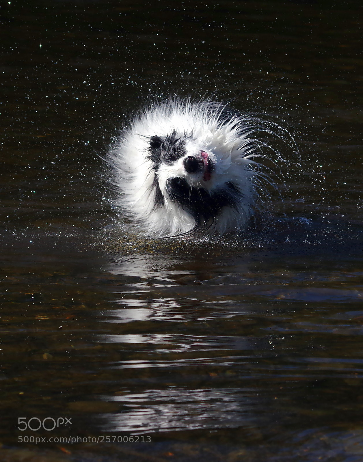 Pentax K-3 sample photo. Morning wash photography