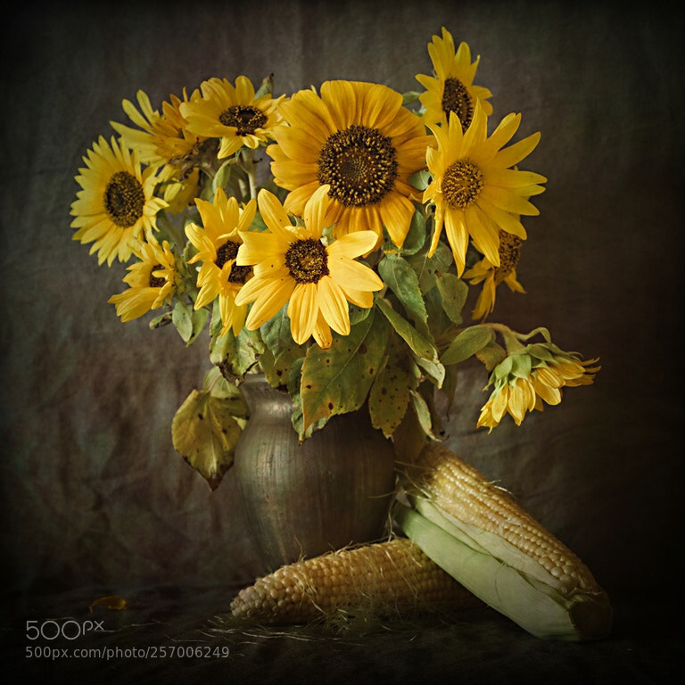 Pentax K-1 sample photo. Still life with sunflowers photography