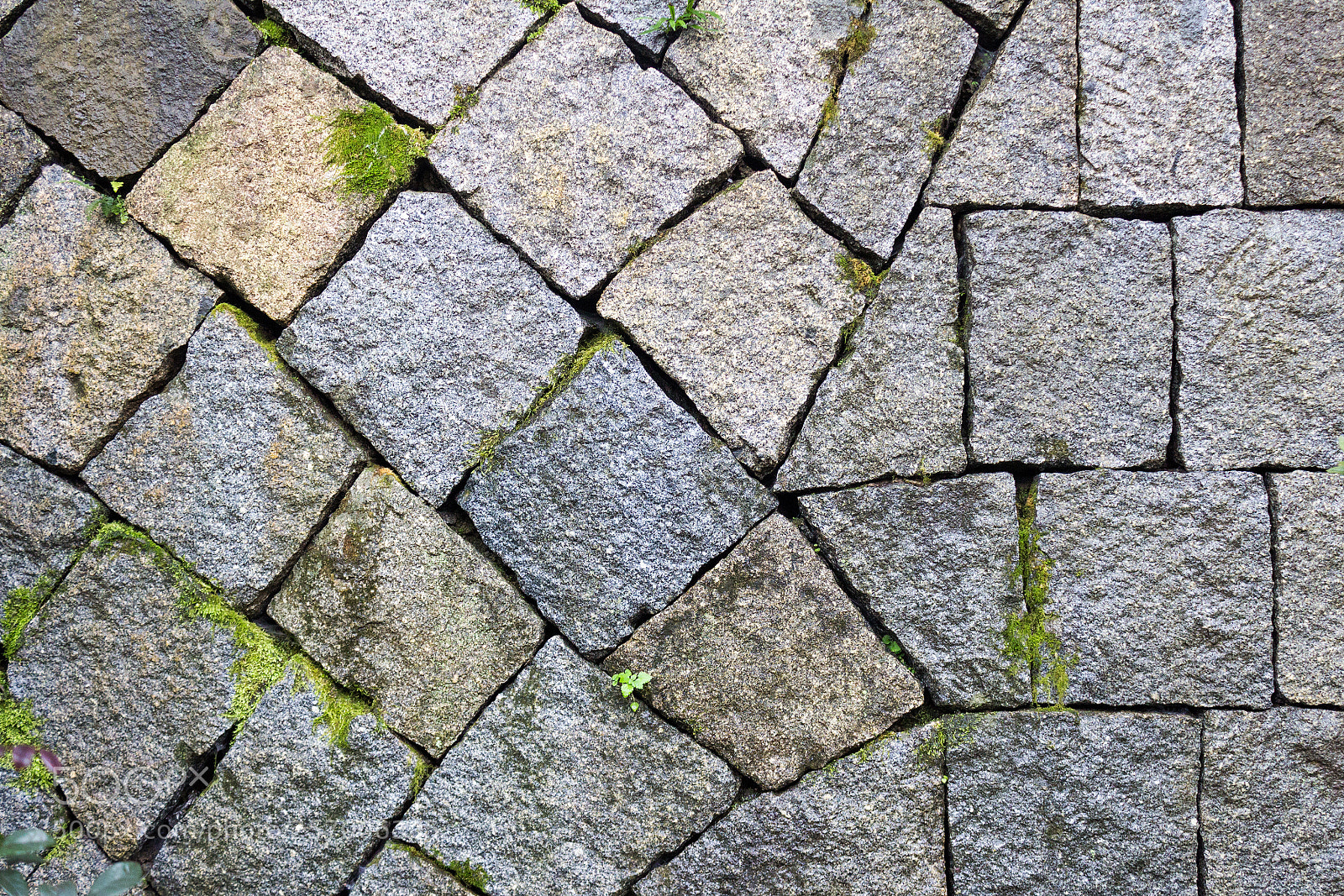 Canon EOS 650D (EOS Rebel T4i / EOS Kiss X6i) sample photo. Rock wall background photography