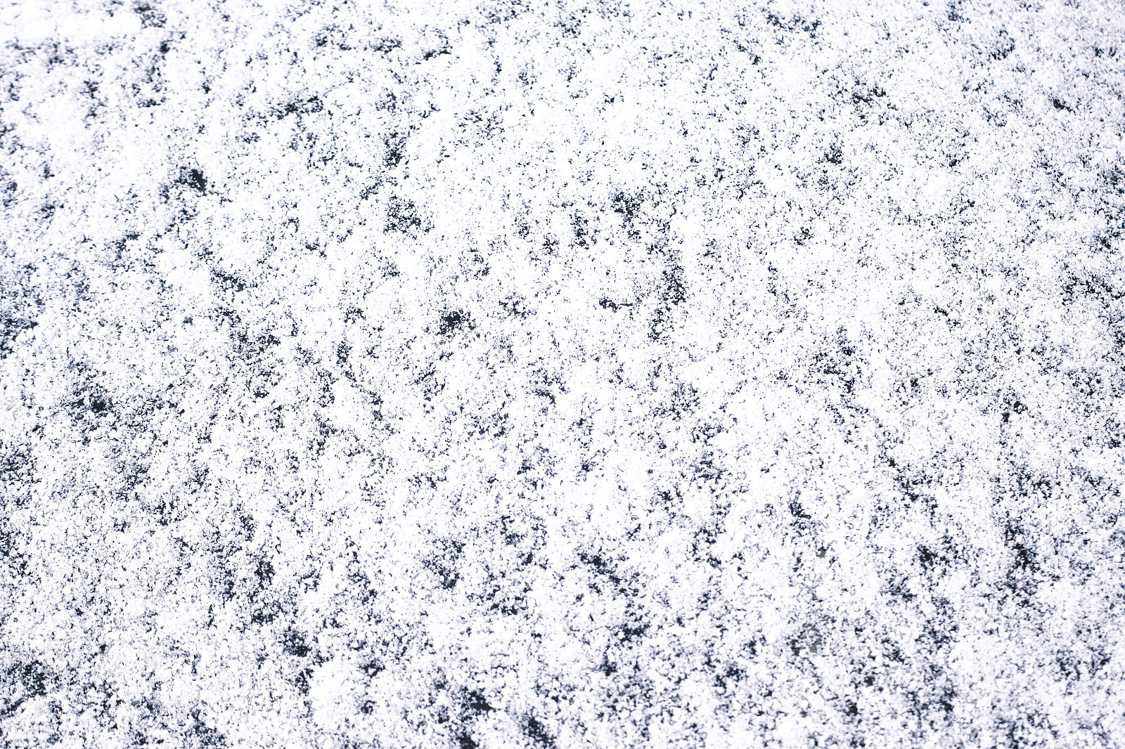 Canon EOS 650D (EOS Rebel T4i / EOS Kiss X6i) sample photo. Snow texture background photography