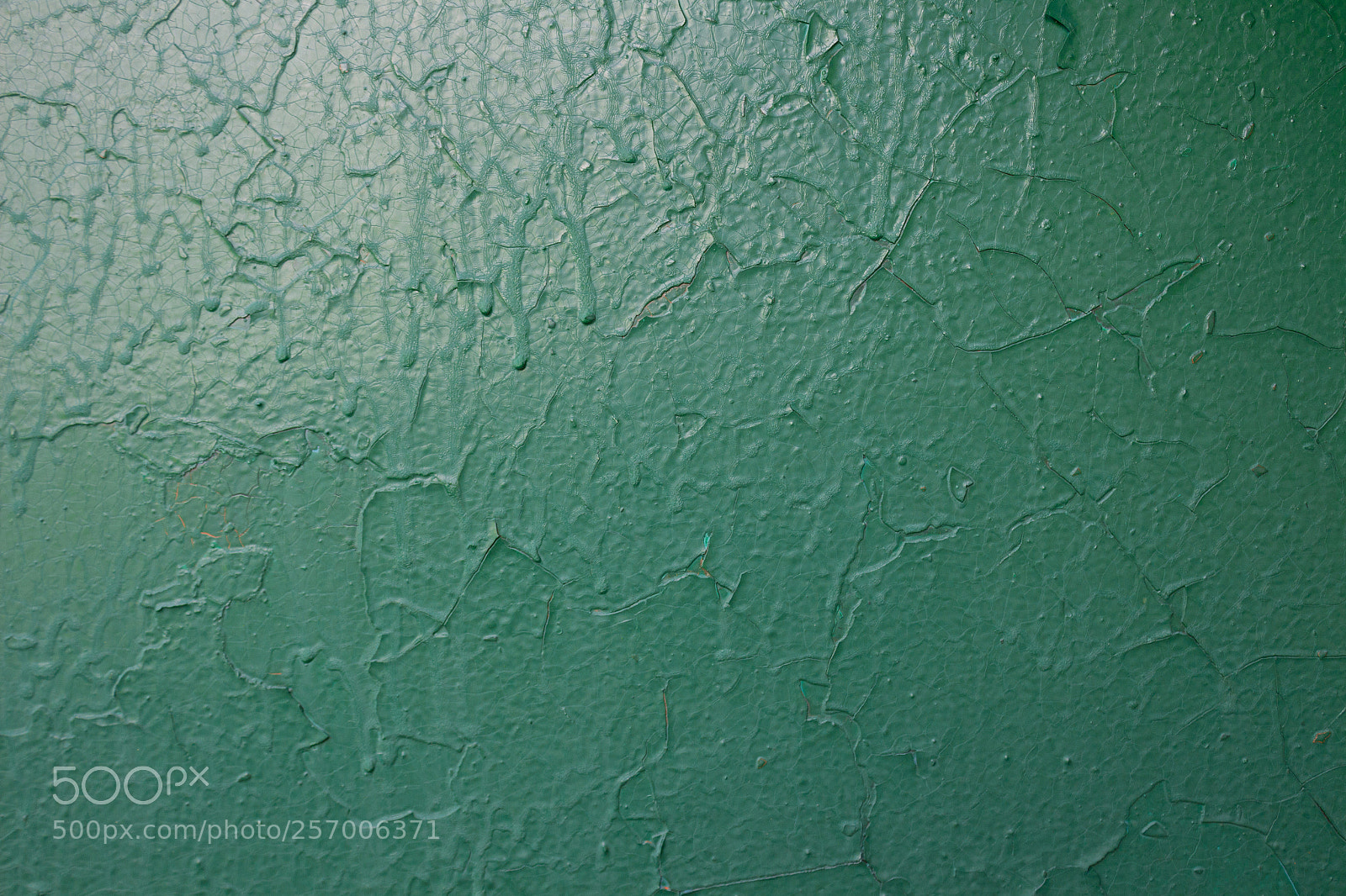 Canon EOS 650D (EOS Rebel T4i / EOS Kiss X6i) sample photo. Green painted wall photography