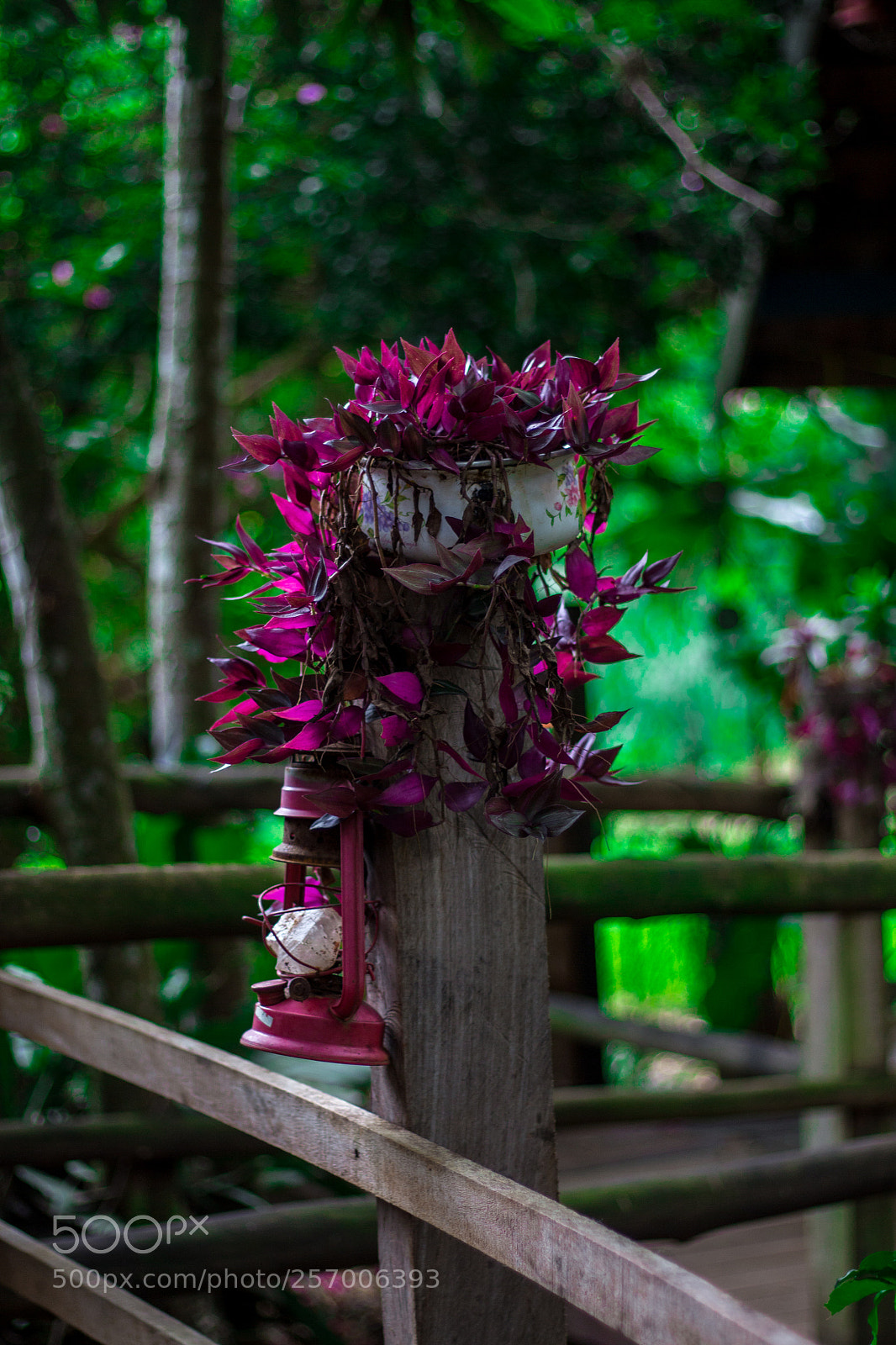 Canon EOS 700D (EOS Rebel T5i / EOS Kiss X7i) sample photo. Bonito - mato grosso photography